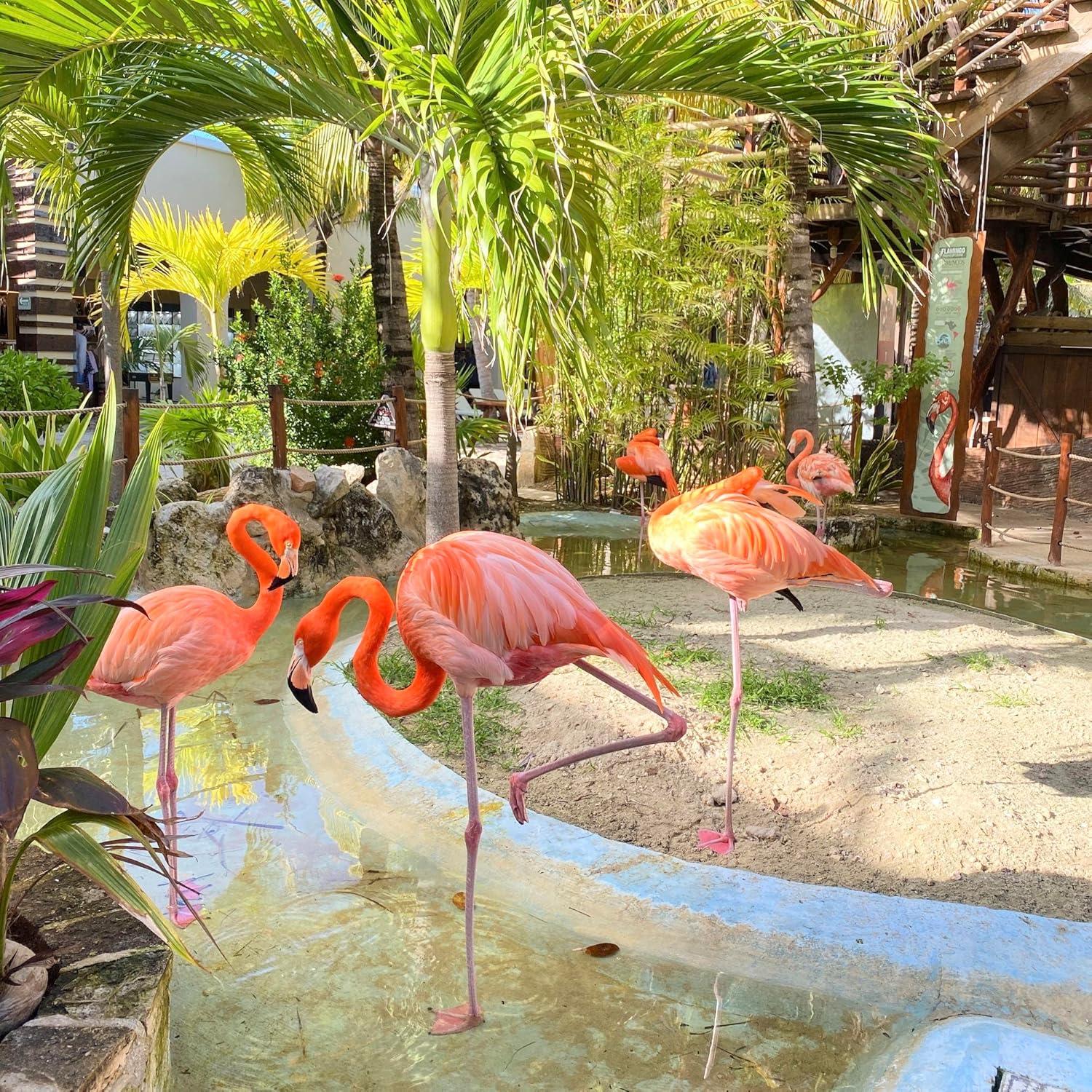 Títere de dedo flamenco Ganapati Crafts 10 cm hecho a mano