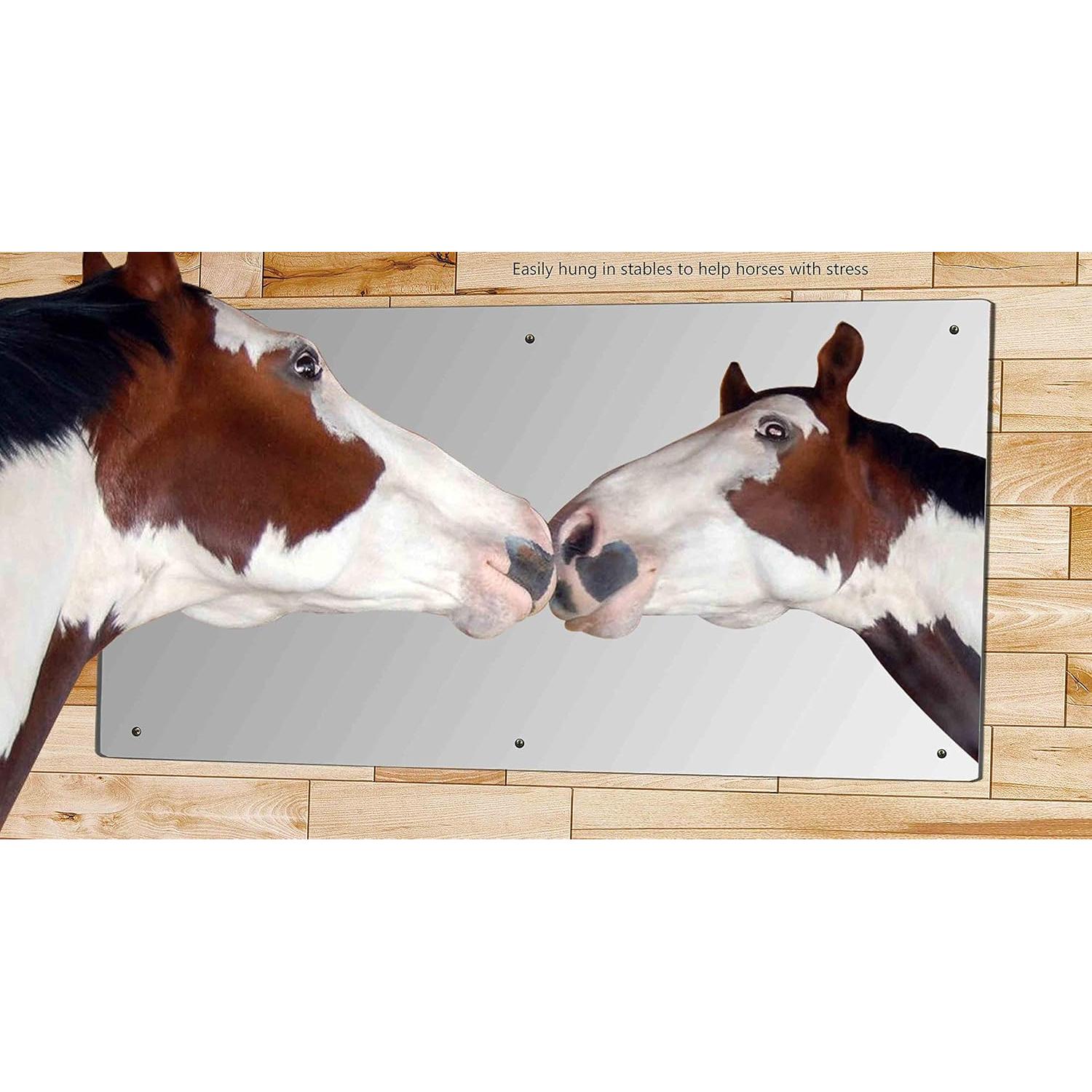 Hoja de Espejo Acrílico 61 x 122 cm Marketing Holders