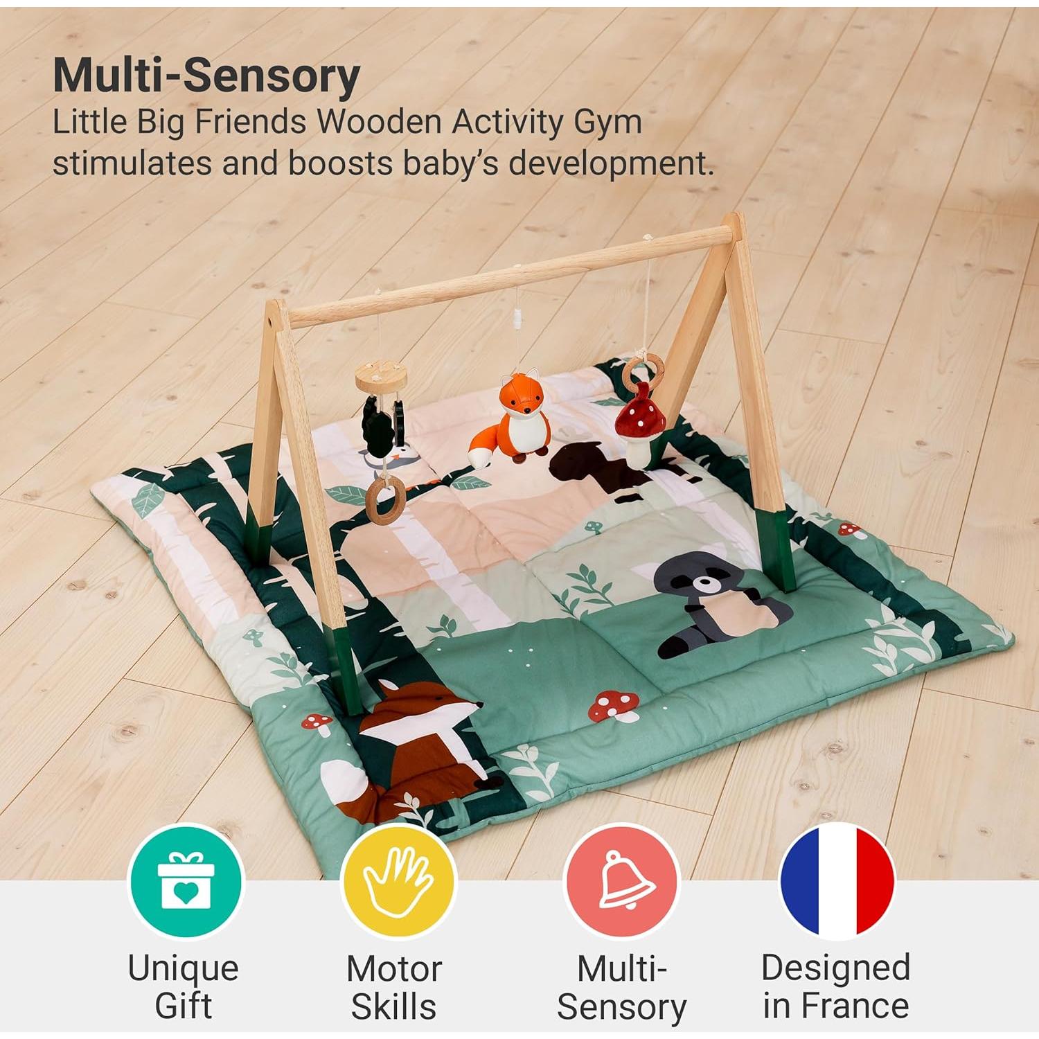 Gimnasio de Actividad de Madera Little Big Friends Bosque