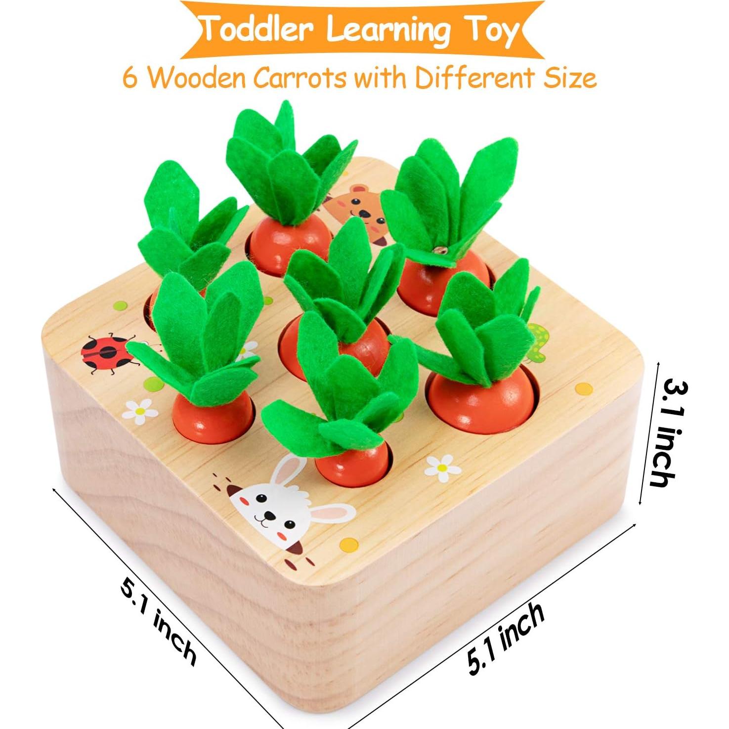 Juguetes Montessori de Madera AOJOYS para Bebés 1-3 Años