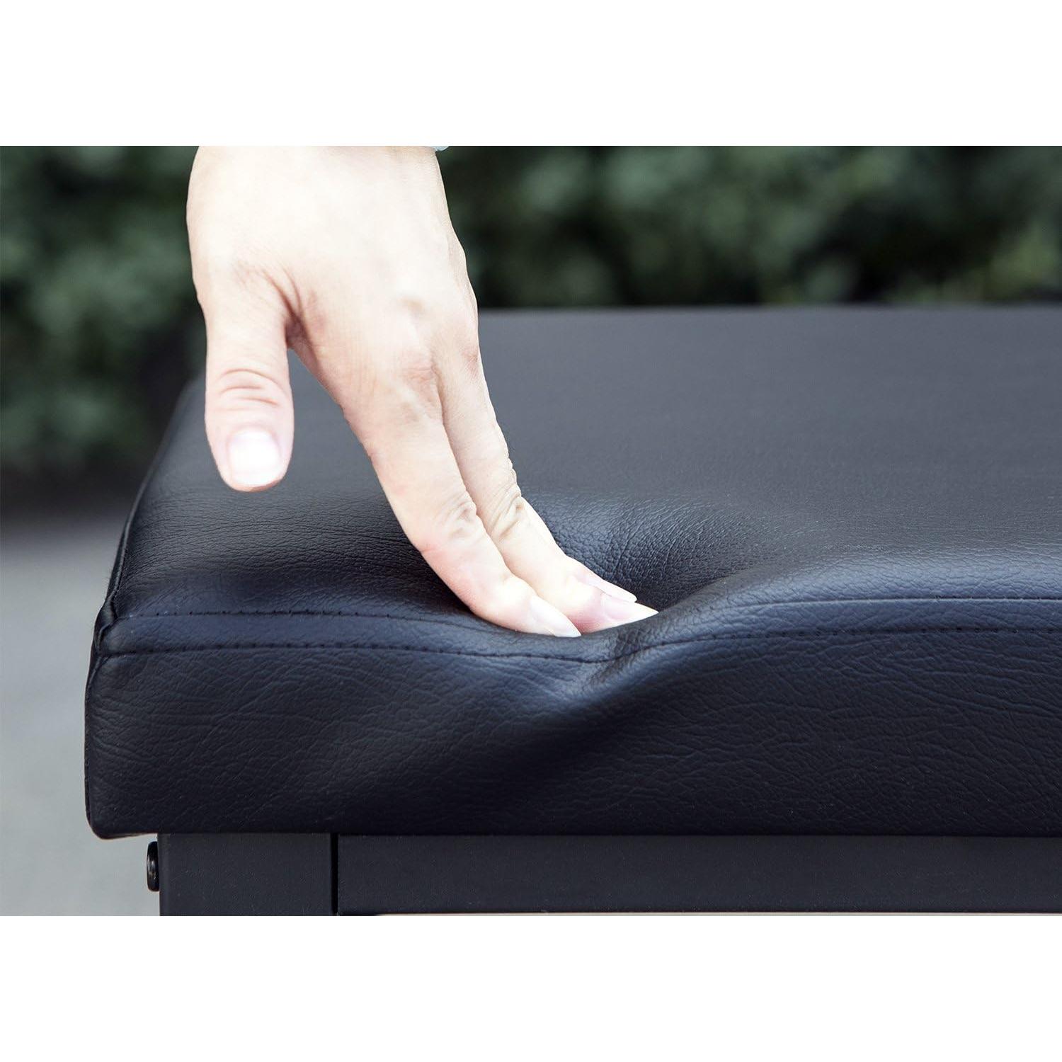 Estante para zapatos Finnhomy con asiento acolchado negro