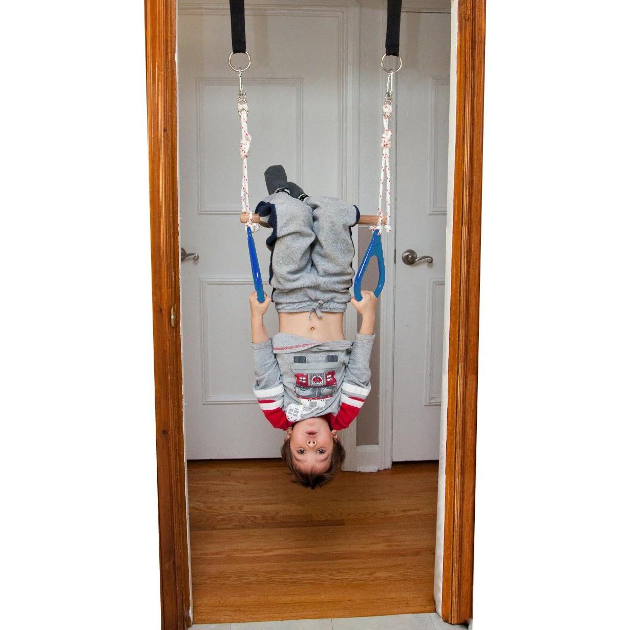 Columpio de Puerta DreamGYM - Barra de Trapecio y Anillos 100kg