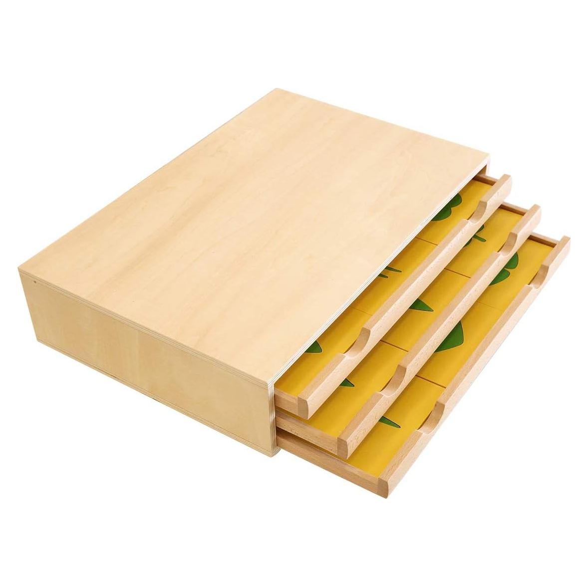 Gabinete de Botánica Montessori Outlet para Niños 3-6 Años