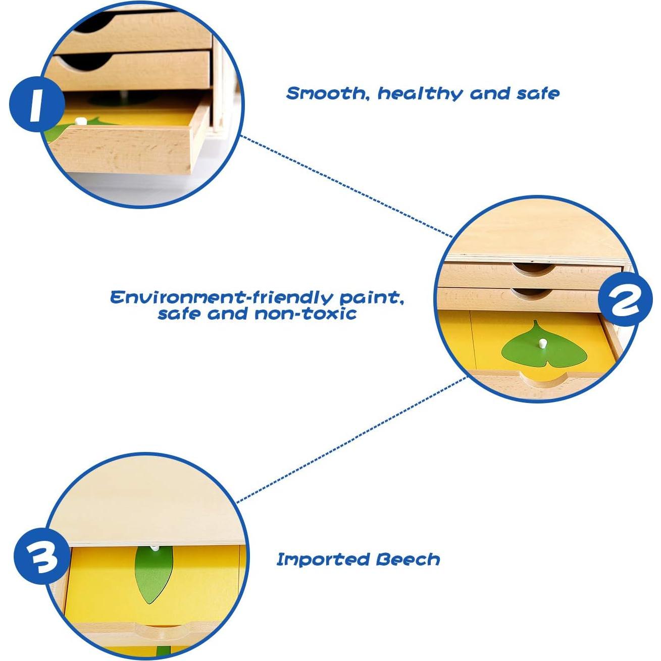 Gabinete de Botánica Montessori Outlet para Niños 3-6 Años