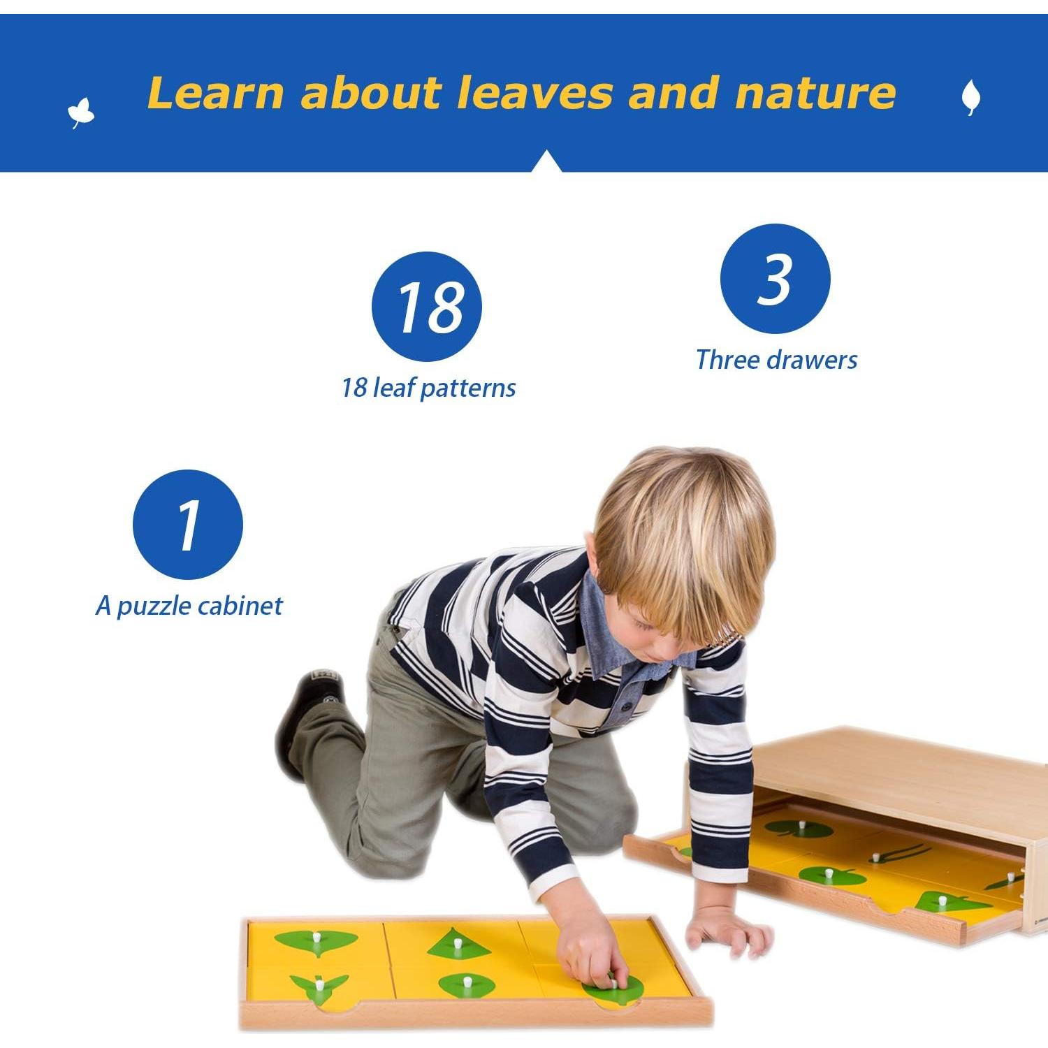 Gabinete de Botánica Montessori Outlet para Niños 3-6 Años