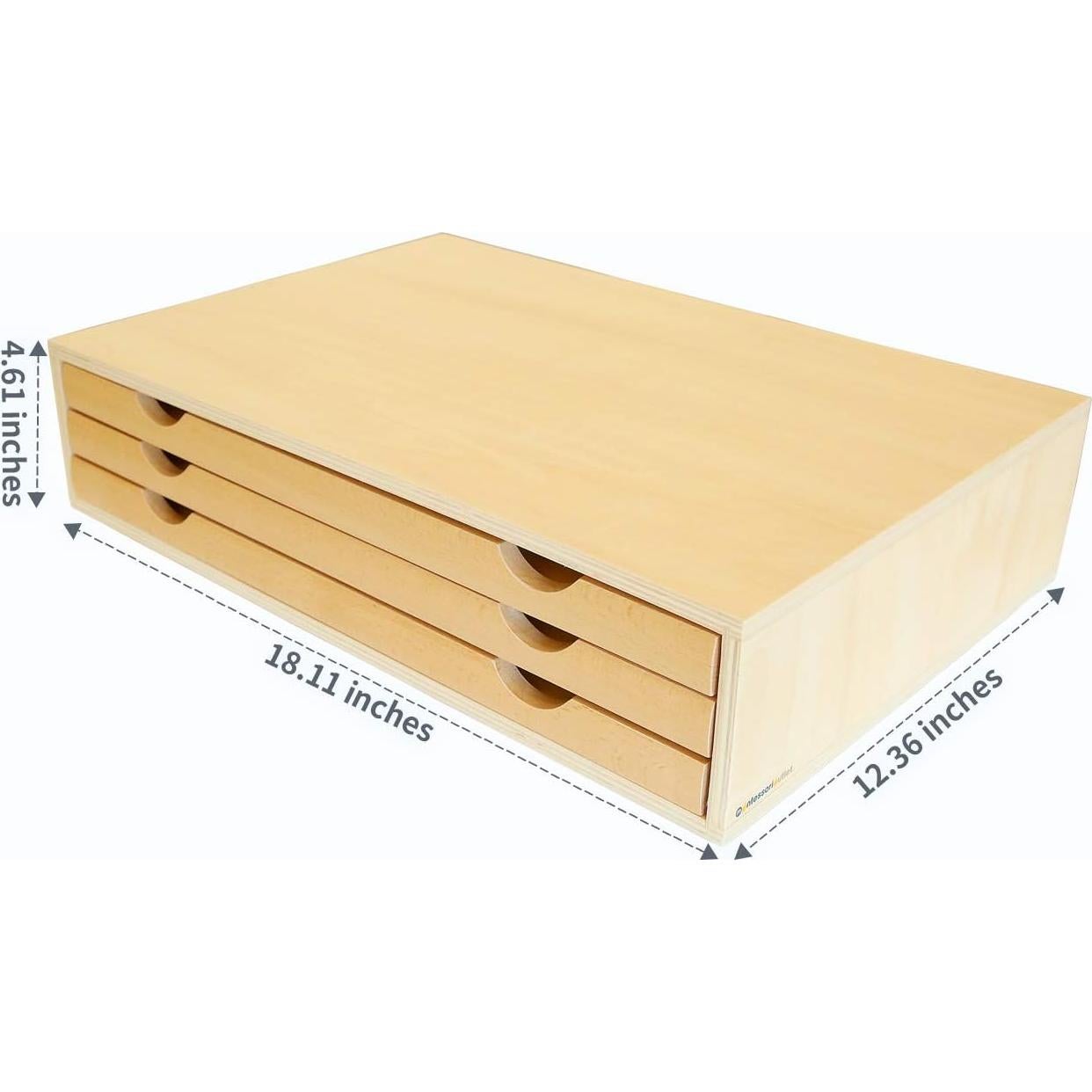 Gabinete de Botánica Montessori Outlet para Niños 3-6 Años