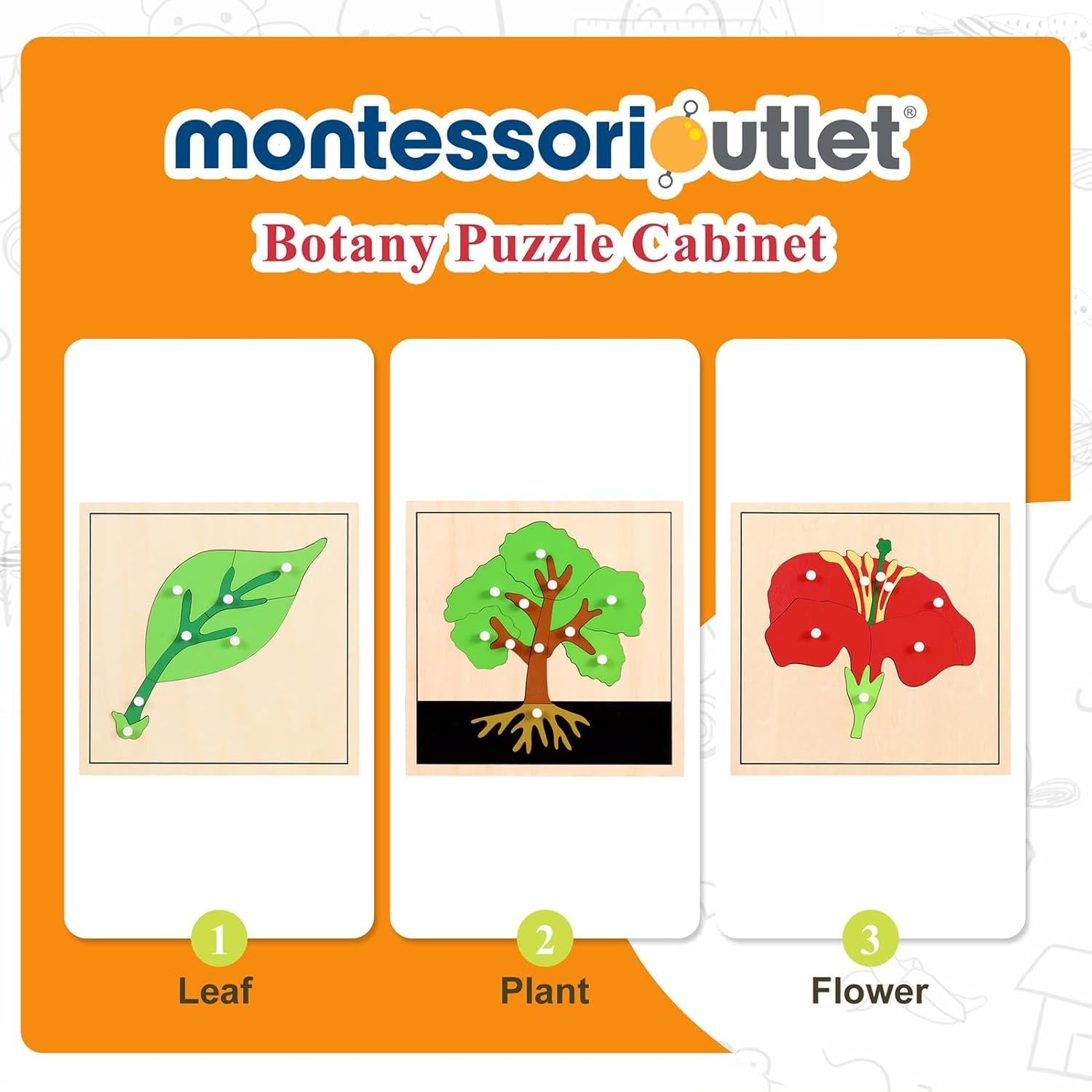 Gabinete de Rompecabezas de Botánica Montessori Outlet 3 Estantes