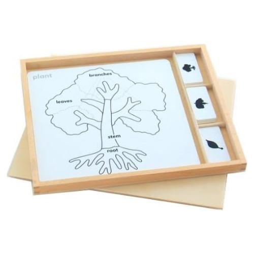 Juego de Rompecabezas de Botánica Montessori Elite 27.94x24.13 cm