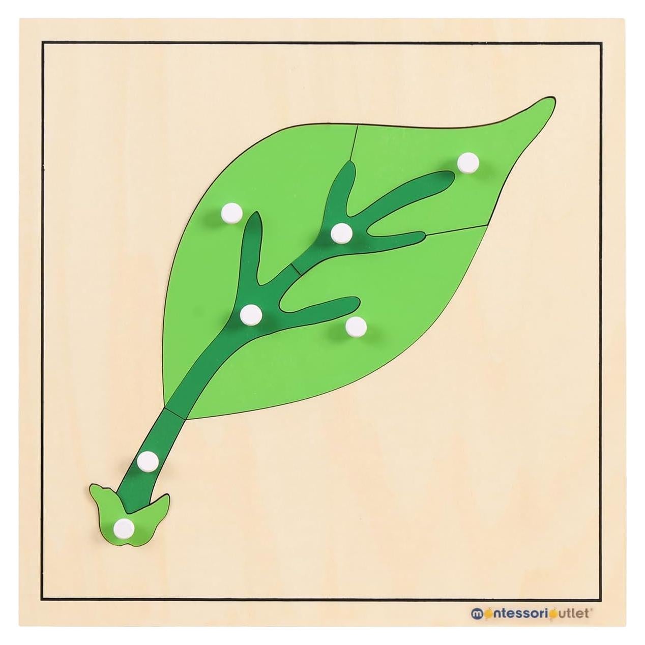 Rompecabezas Montessori de Hojas 24x24 cm para Niños 3-6 Años