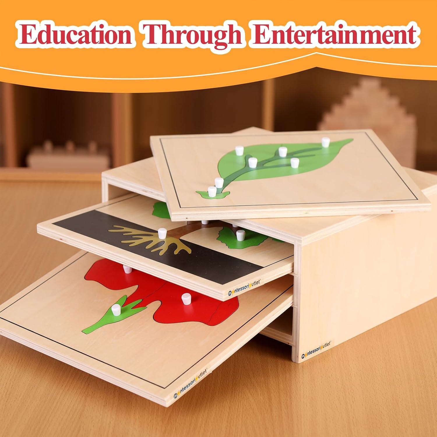 Rompecabezas Montessori de Hojas 24x24 cm para Niños 3-6 Años