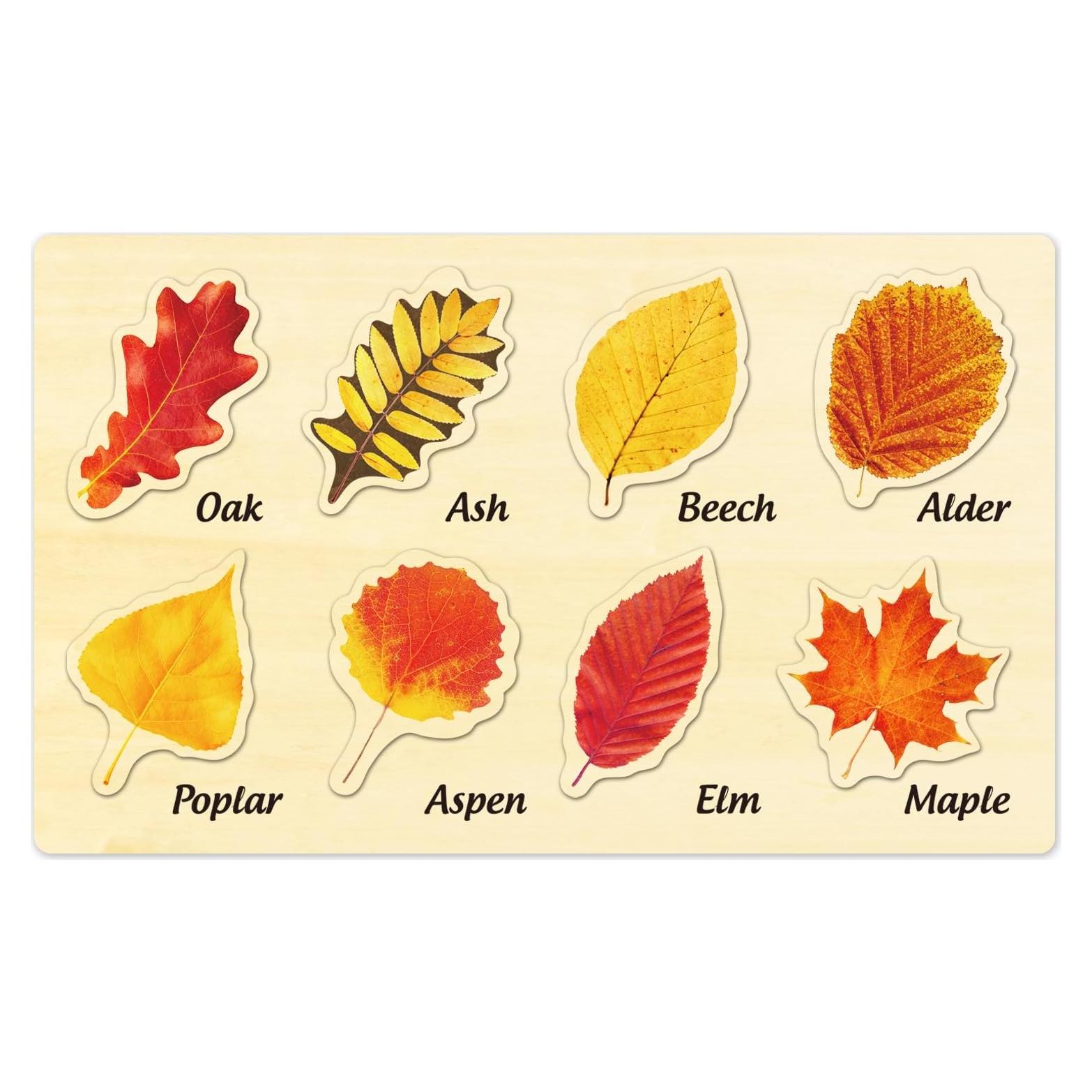 Rompecabezas de Madera MoinKidz Hoja de Otoño 33x20cm