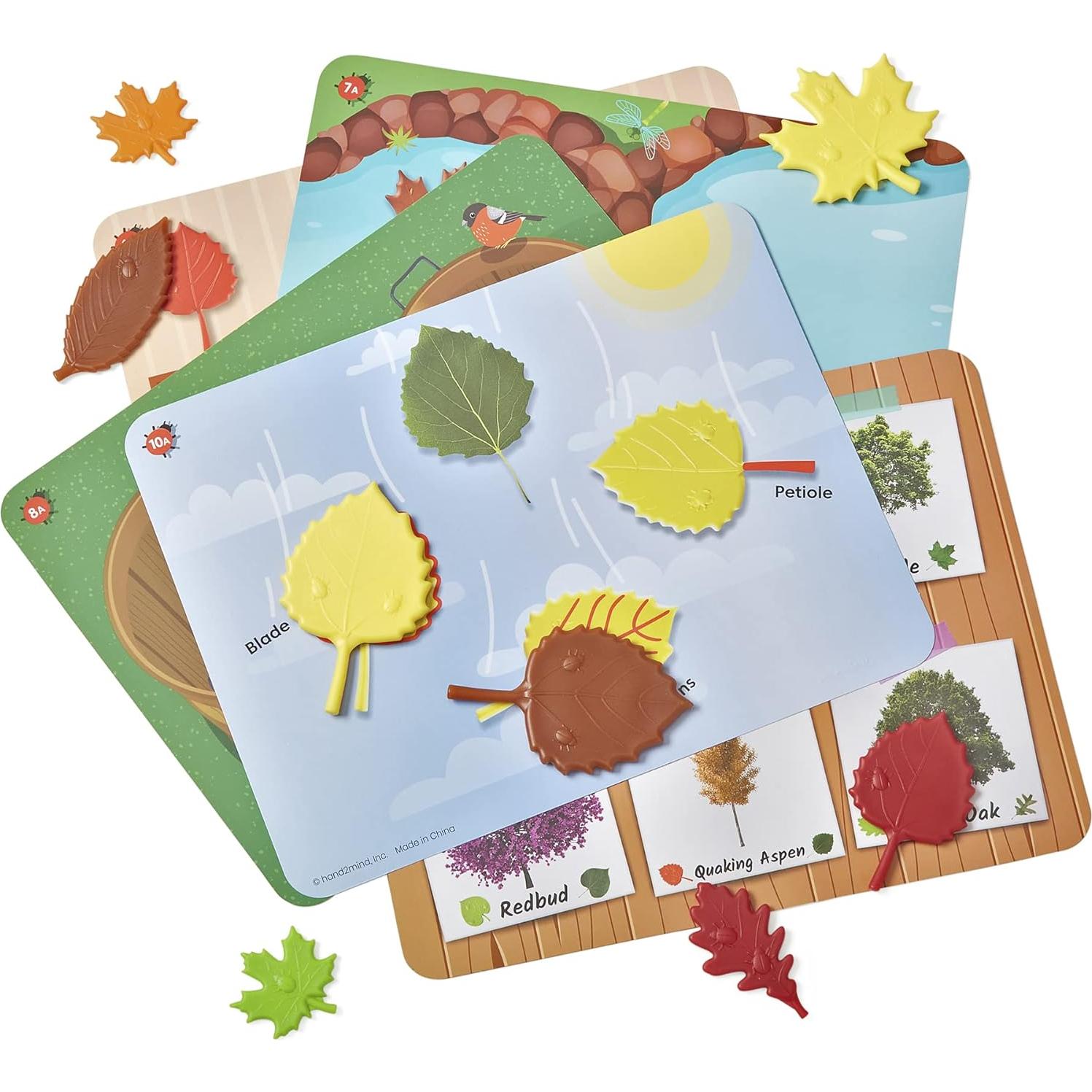 Set de Actividad Matemática Sensory Leaves hand2mind - 10 Tarjetas