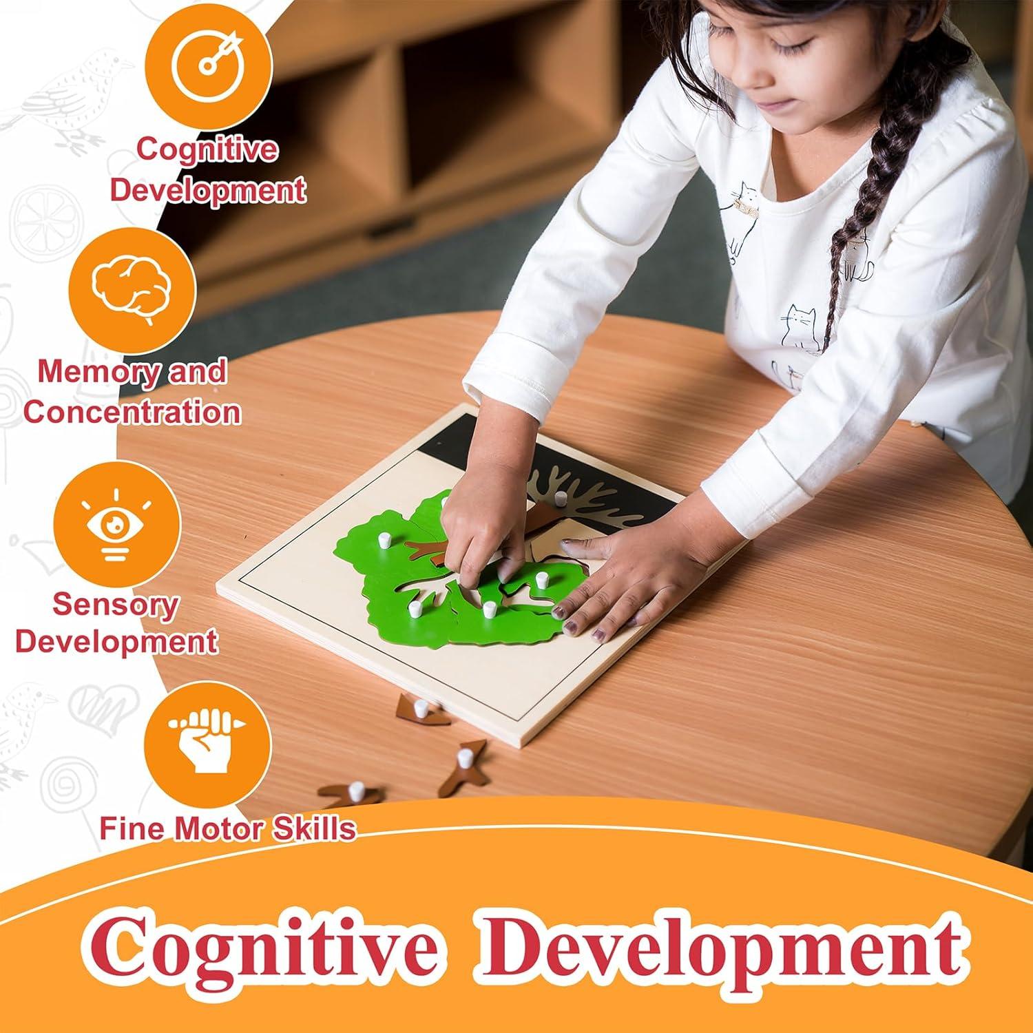 Rompecabezas Montessori de Árbol - MONTESSORI OUTLET 24x24 cm