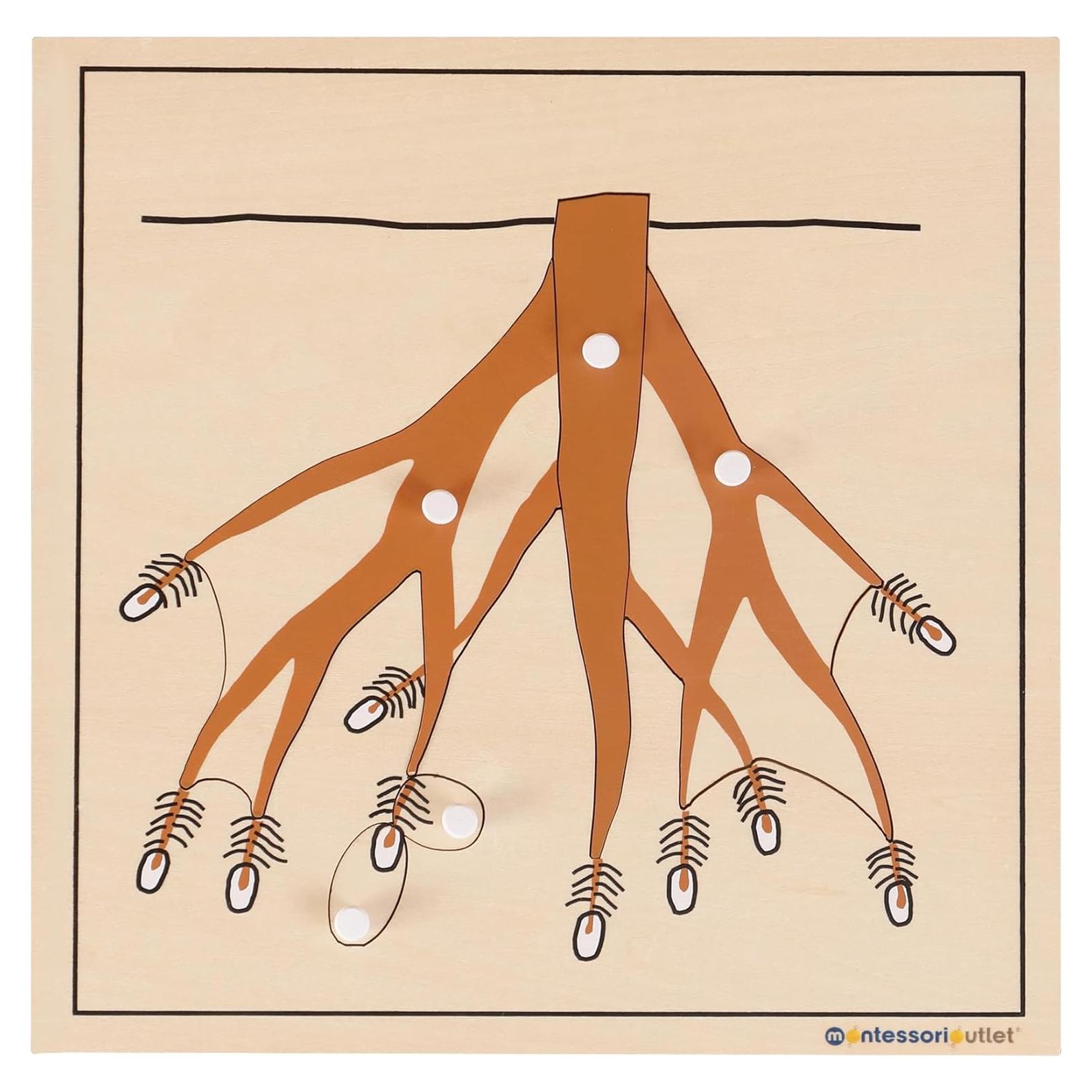 Rompecabezas Montessori Outlet Raíces 24x24 cm para Niños