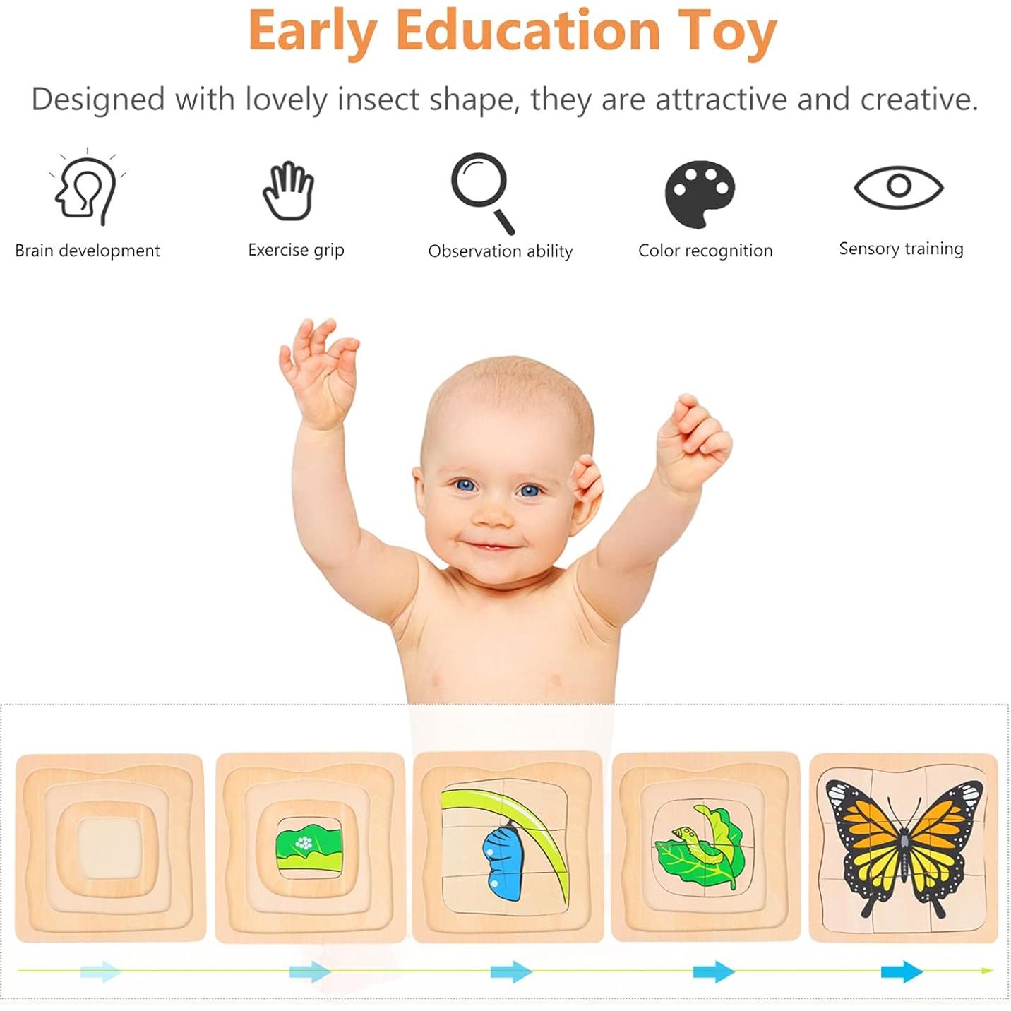 Rompecabezas de Madera Jojofuny Ciclo de Vida Mariposa 18cm