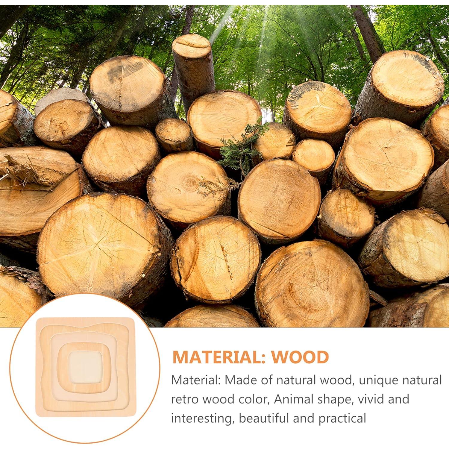 Rompecabezas de Madera Jojofuny Ciclo de Vida Mariposa 18cm