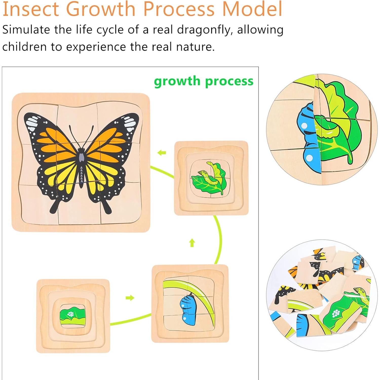 Rompecabezas de Madera Jojofuny Ciclo de Vida Mariposa 18cm