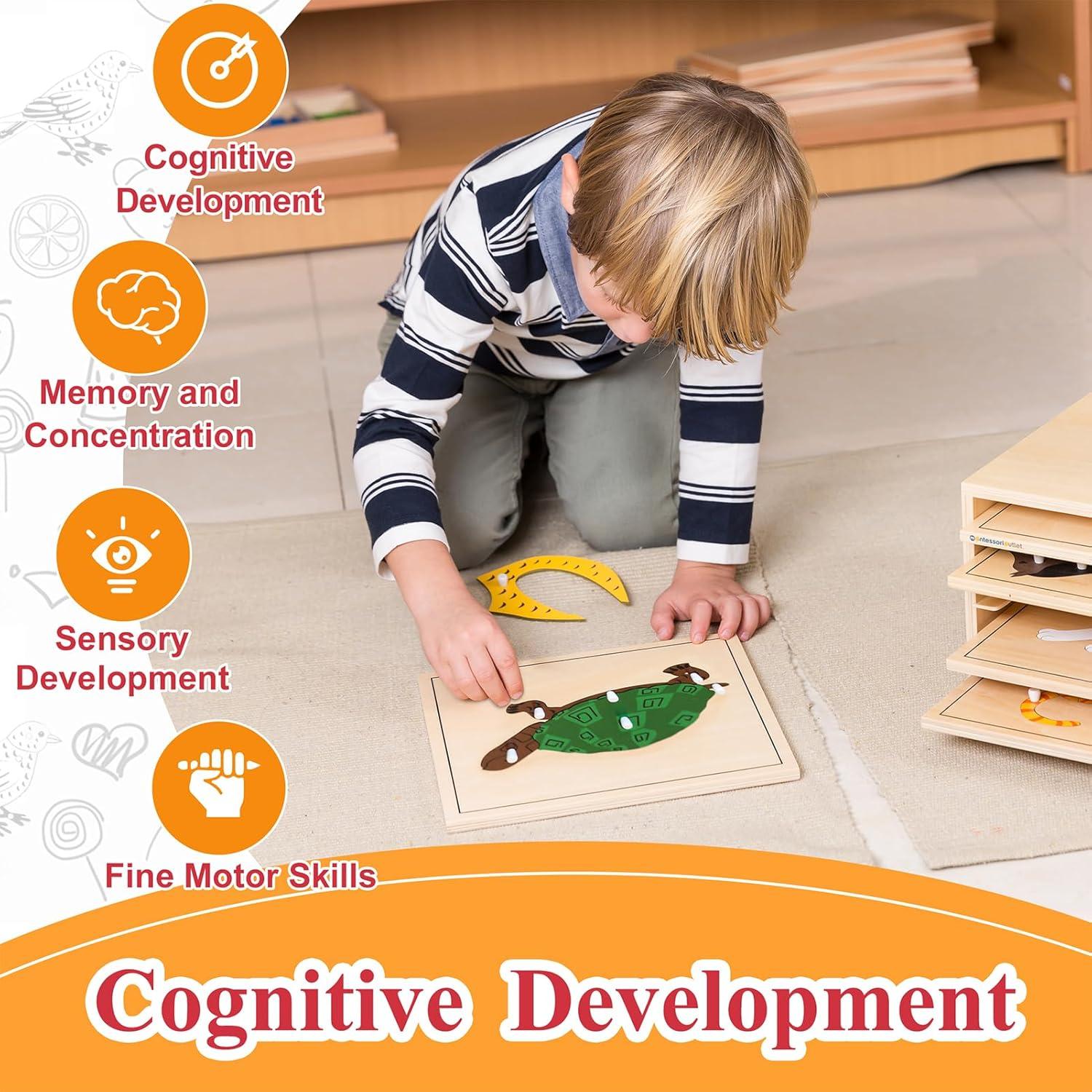 Rompecabezas Montessori Tortuga de Madera 7 Piezas para Niños 3-6 Años