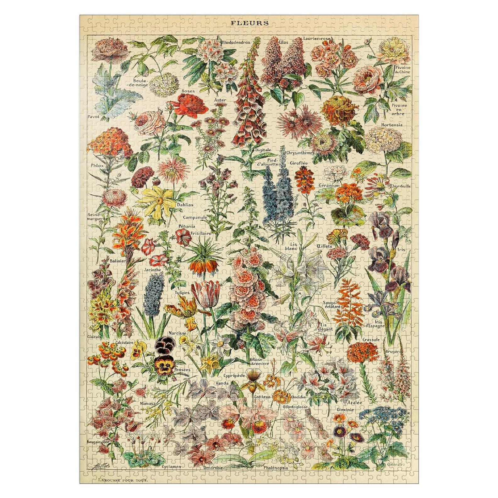 Rompecabezas 1000 Piezas MyPuzzle Fleurs Adolphe Millot
