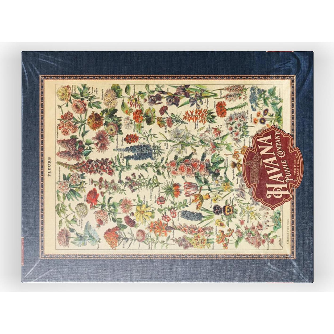 Rompecabezas 1000 Piezas MyPuzzle Fleurs Adolphe Millot