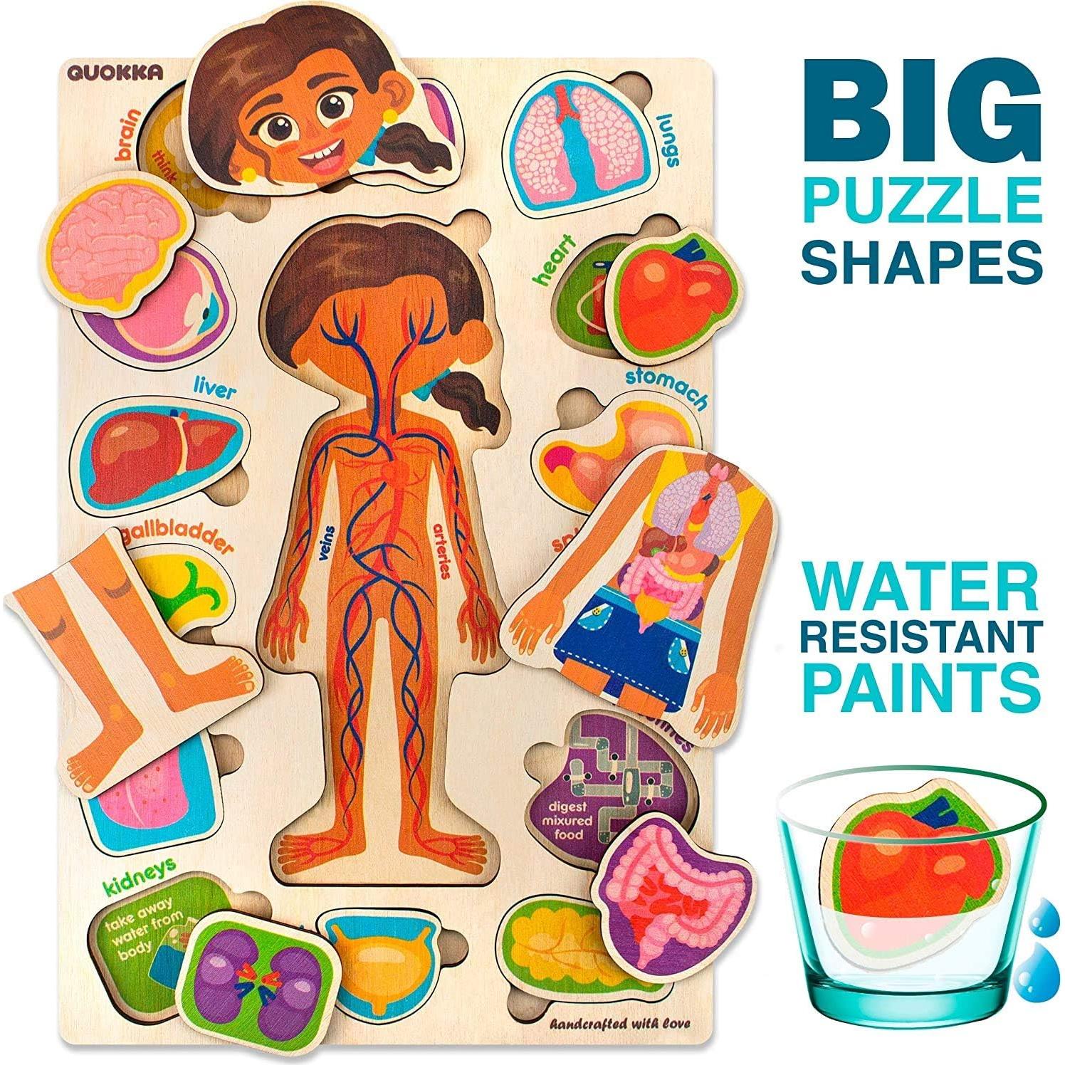 Puzzles Educativos Quokka: Anatomía y Búsqueda para Niños