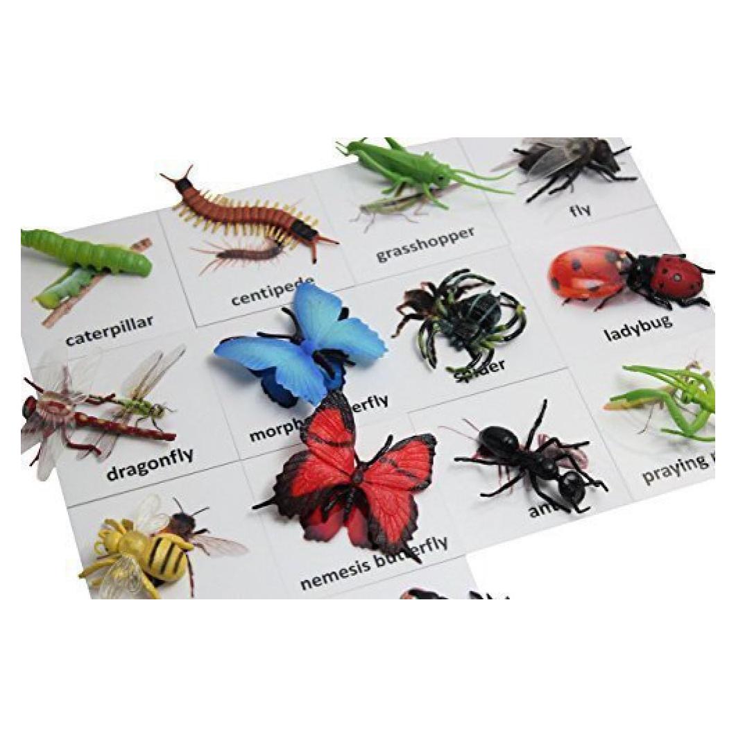 Tarjetas de coincidencia de animales Curious Minds Montessori