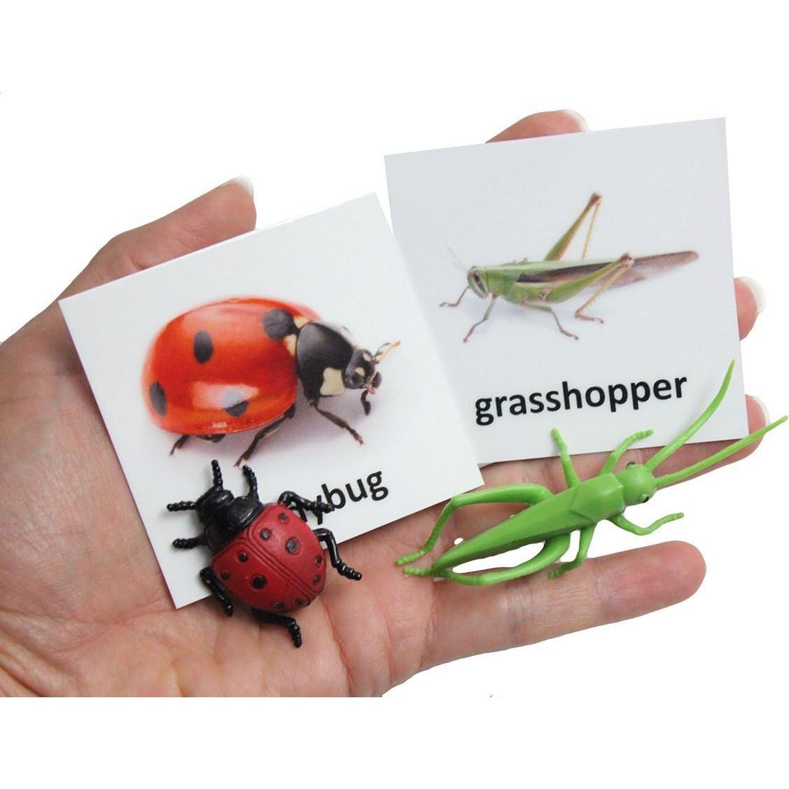 Tarjetas de coincidencia de animales Curious Minds Montessori