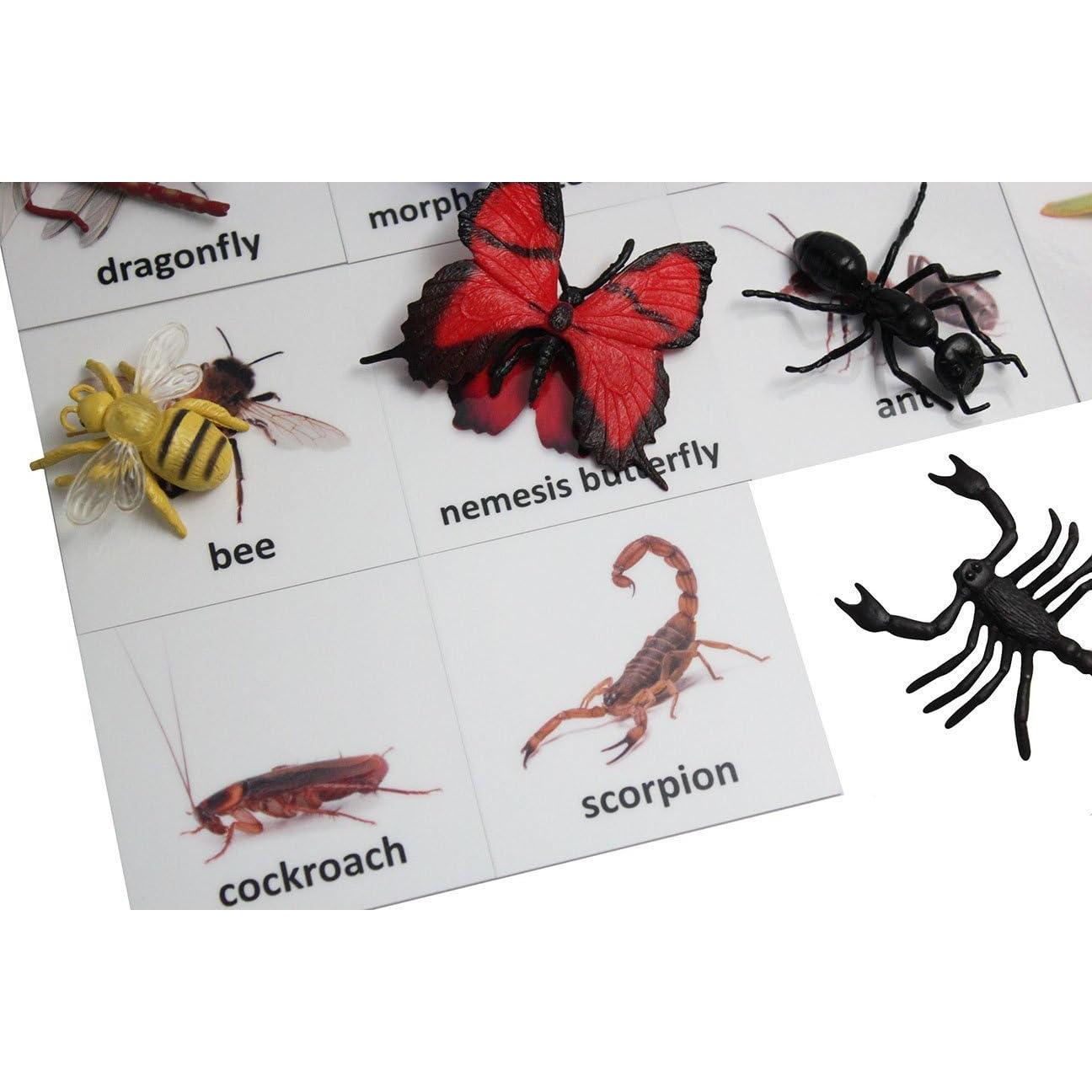 Tarjetas de coincidencia de animales Curious Minds Montessori