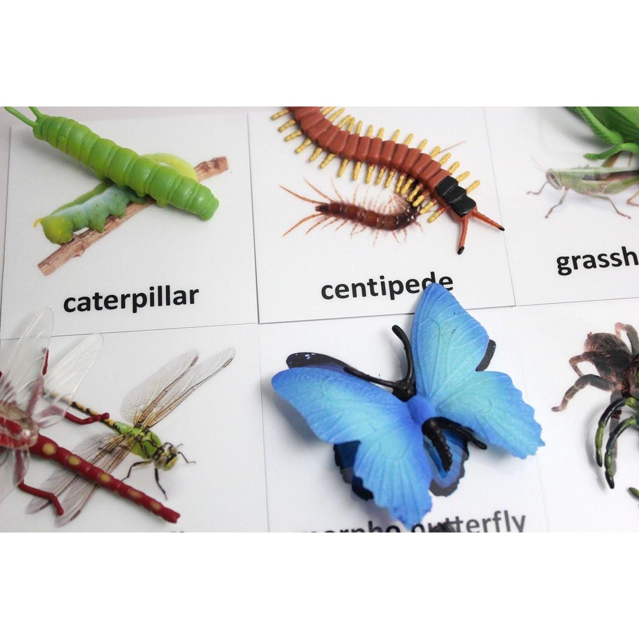 Tarjetas de coincidencia de animales Curious Minds Montessori