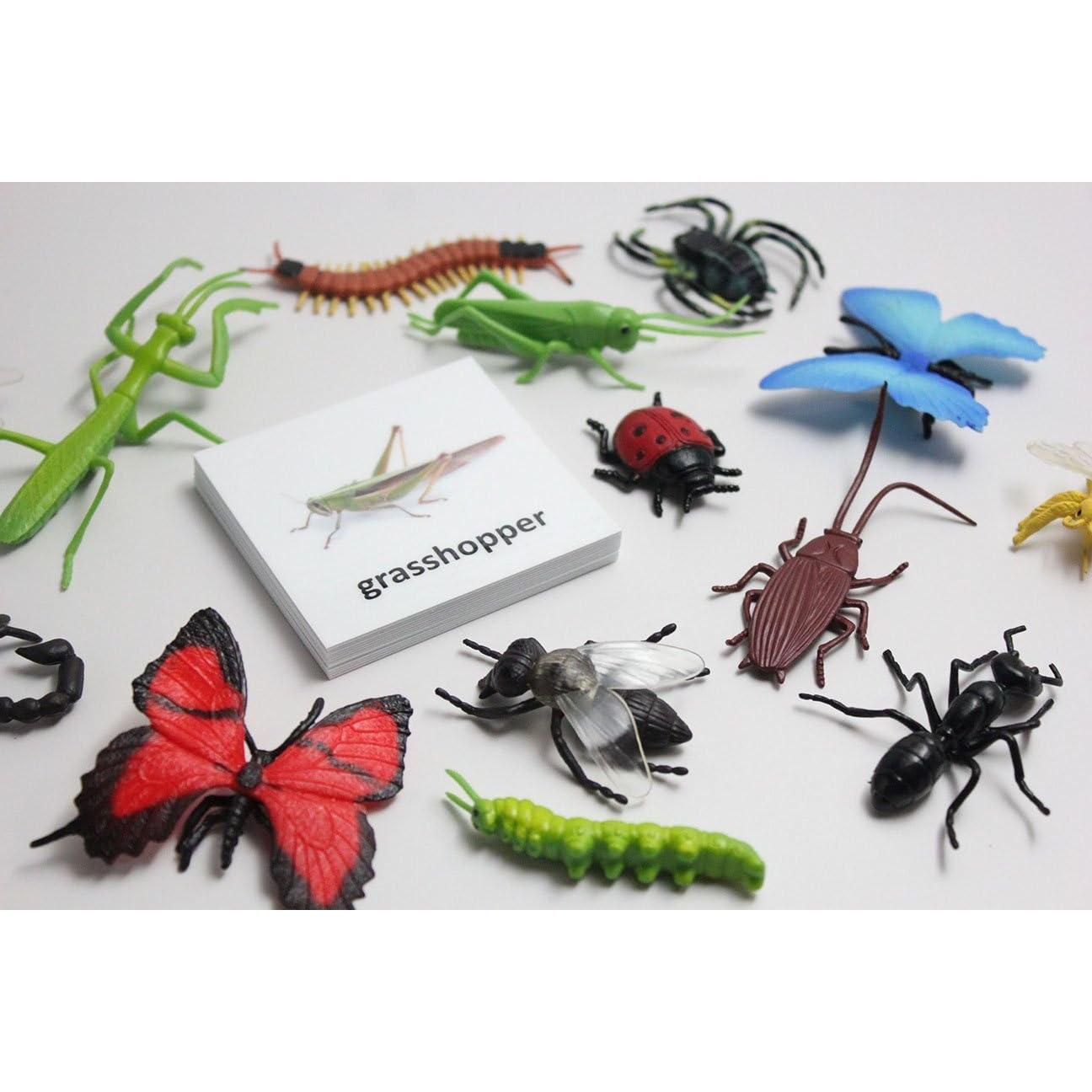 Tarjetas de coincidencia de animales Curious Minds Montessori