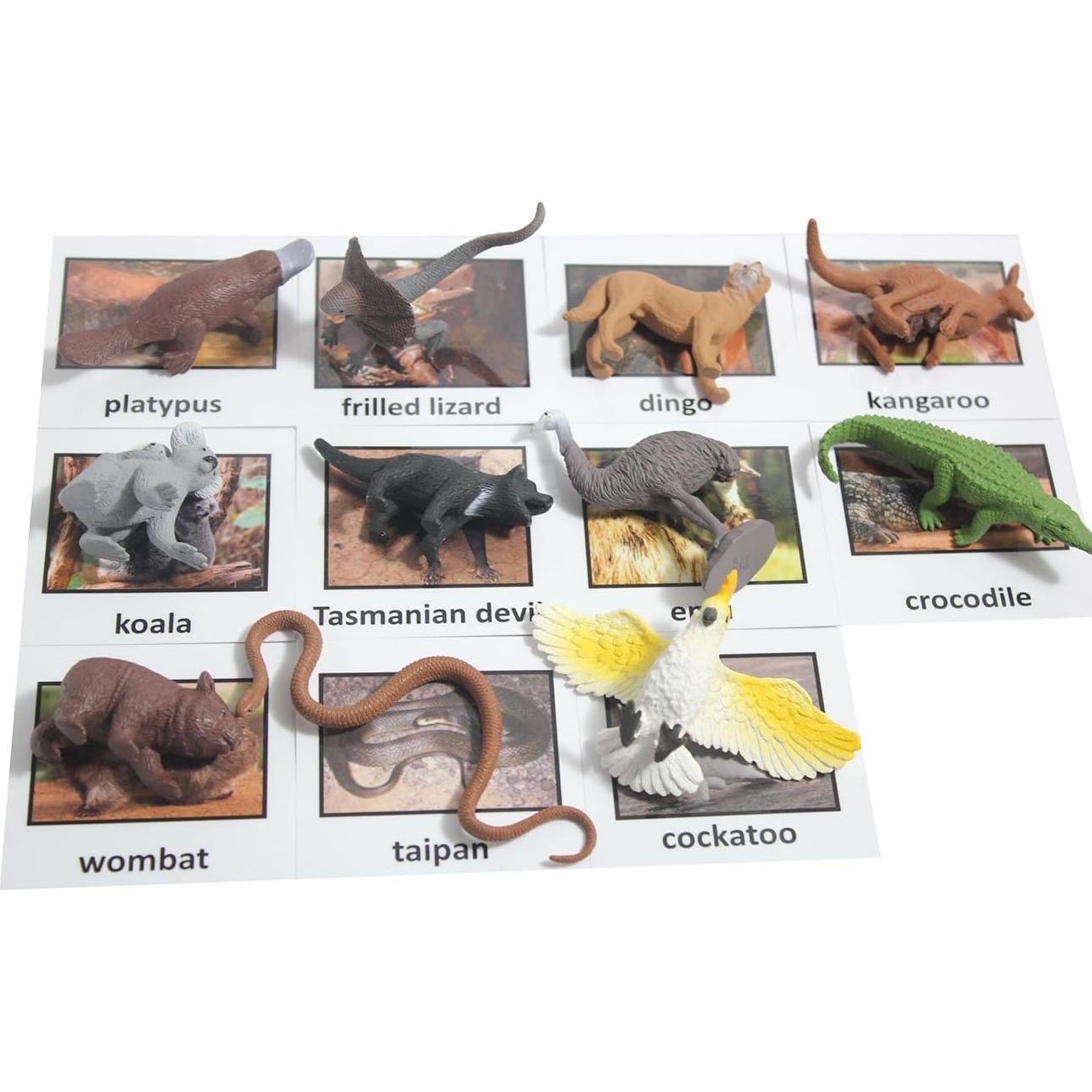 Juego de Emparejamiento de Animales Australianos Curious Minds