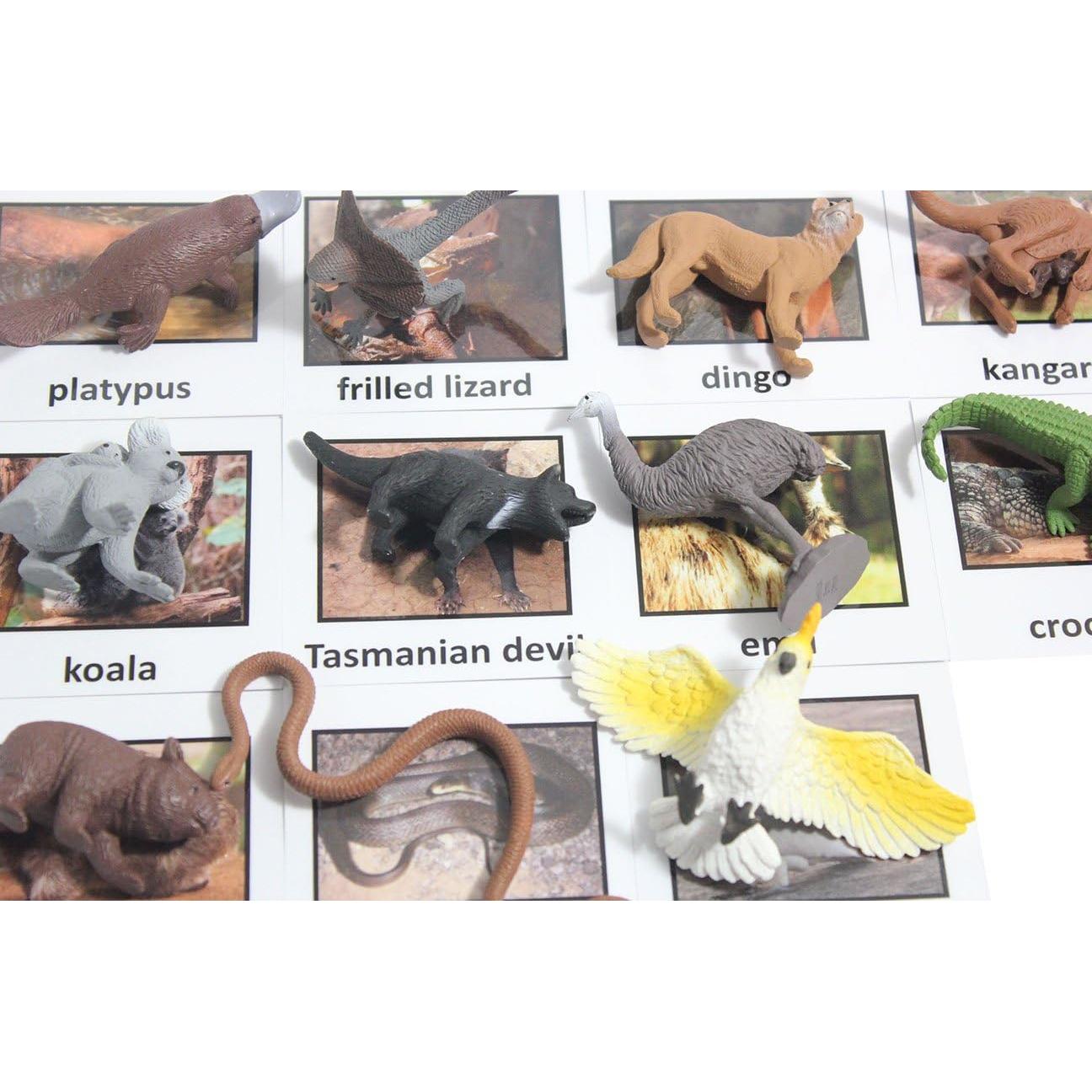 Juego de Emparejamiento de Animales Australianos Curious Minds