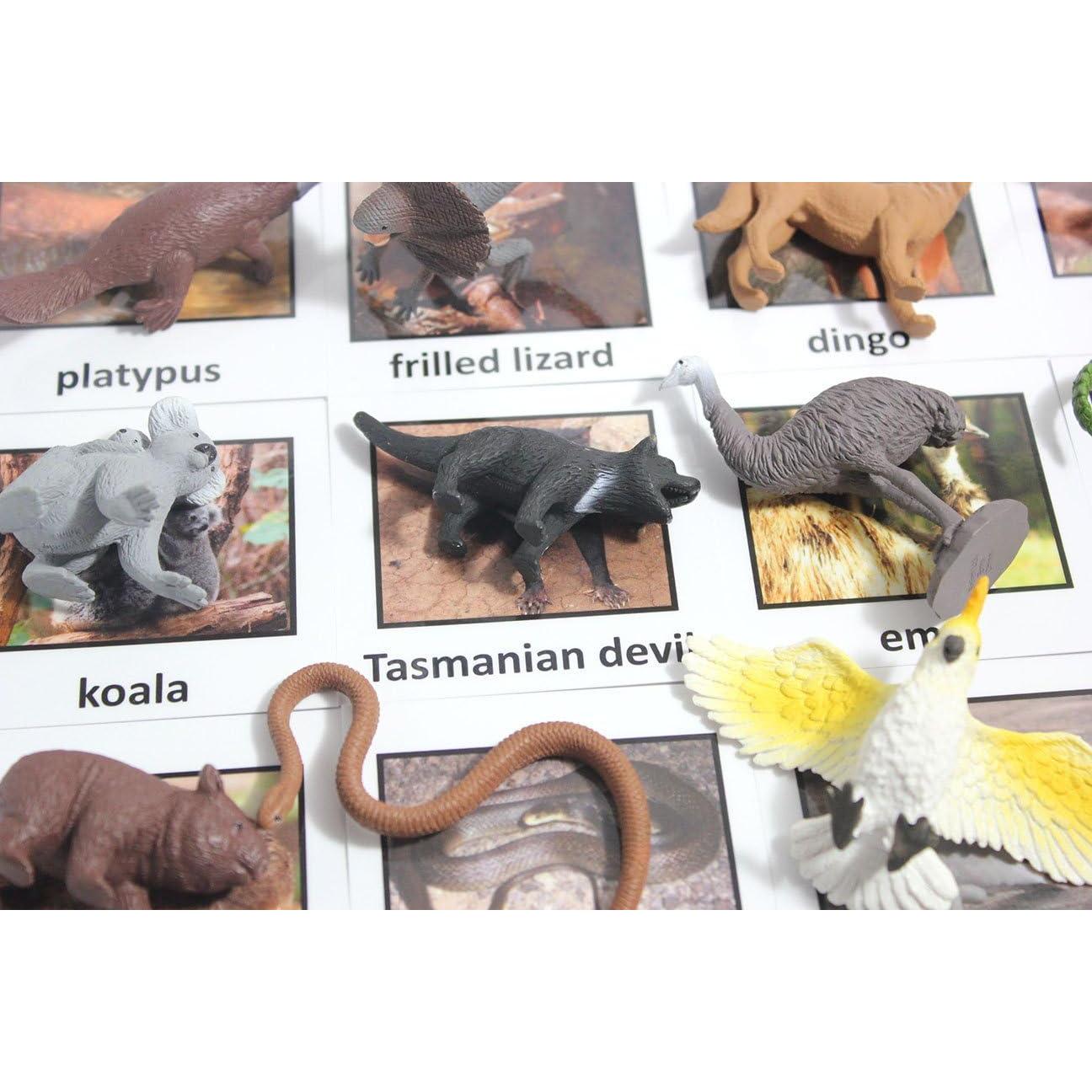 Juego de Emparejamiento de Animales Australianos Curious Minds