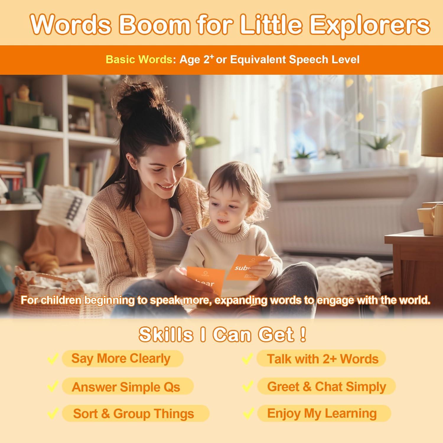 80 Tarjetas de Flash de Sustantivos ALSOLIFE para Niños 2-4 Años