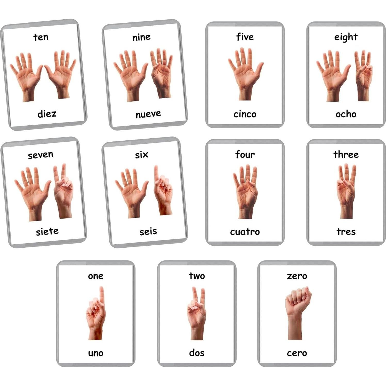 Tarjetas de Memoria de Conteo de Dedos LifeLoLo - 11 Piezas Bilingües