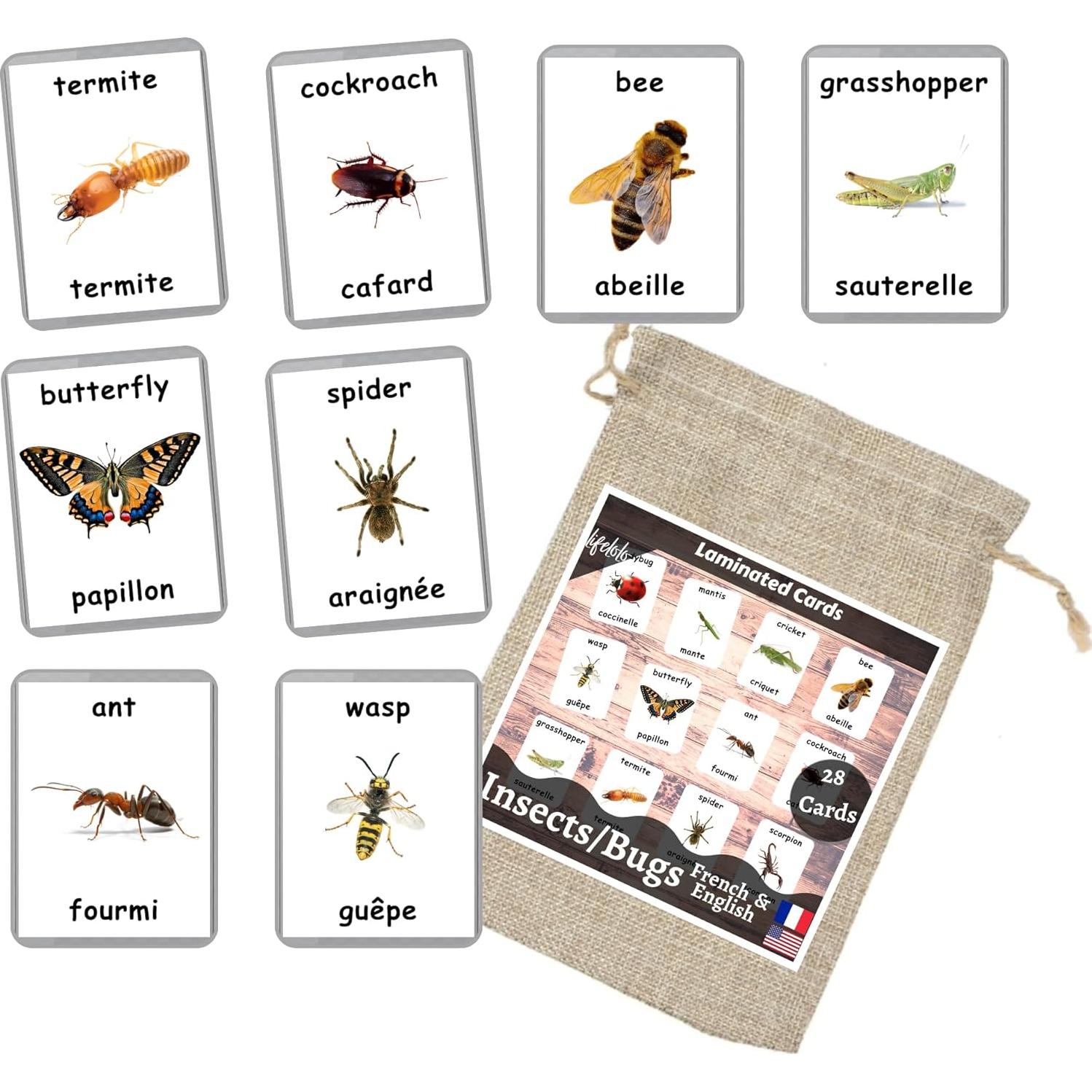 Tarjetas de Flash de Insectos LifeLoLo | 28 Laminadas Bilingües
