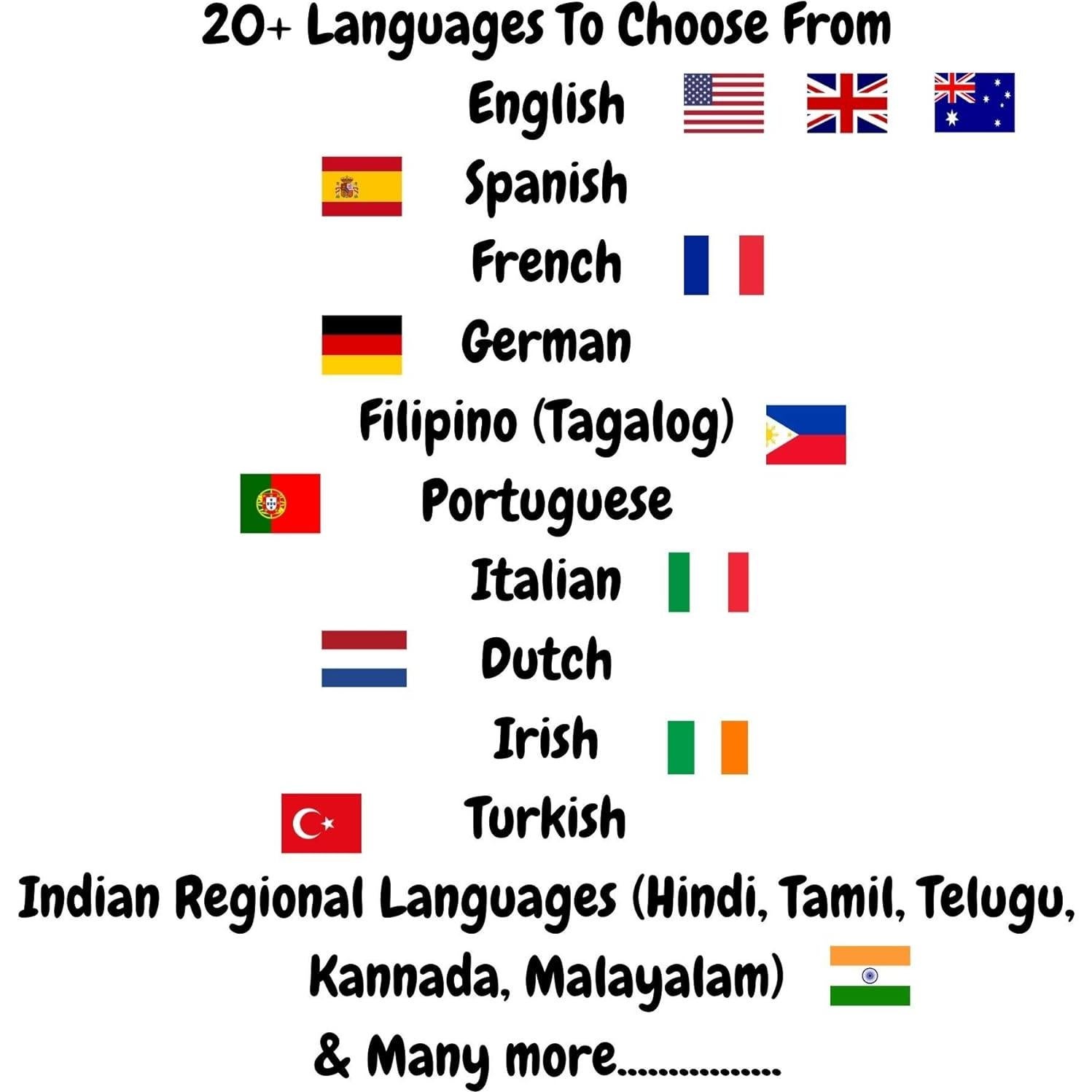 Tarjetas de Flash de Insectos LifeLoLo | 28 Laminadas Bilingües