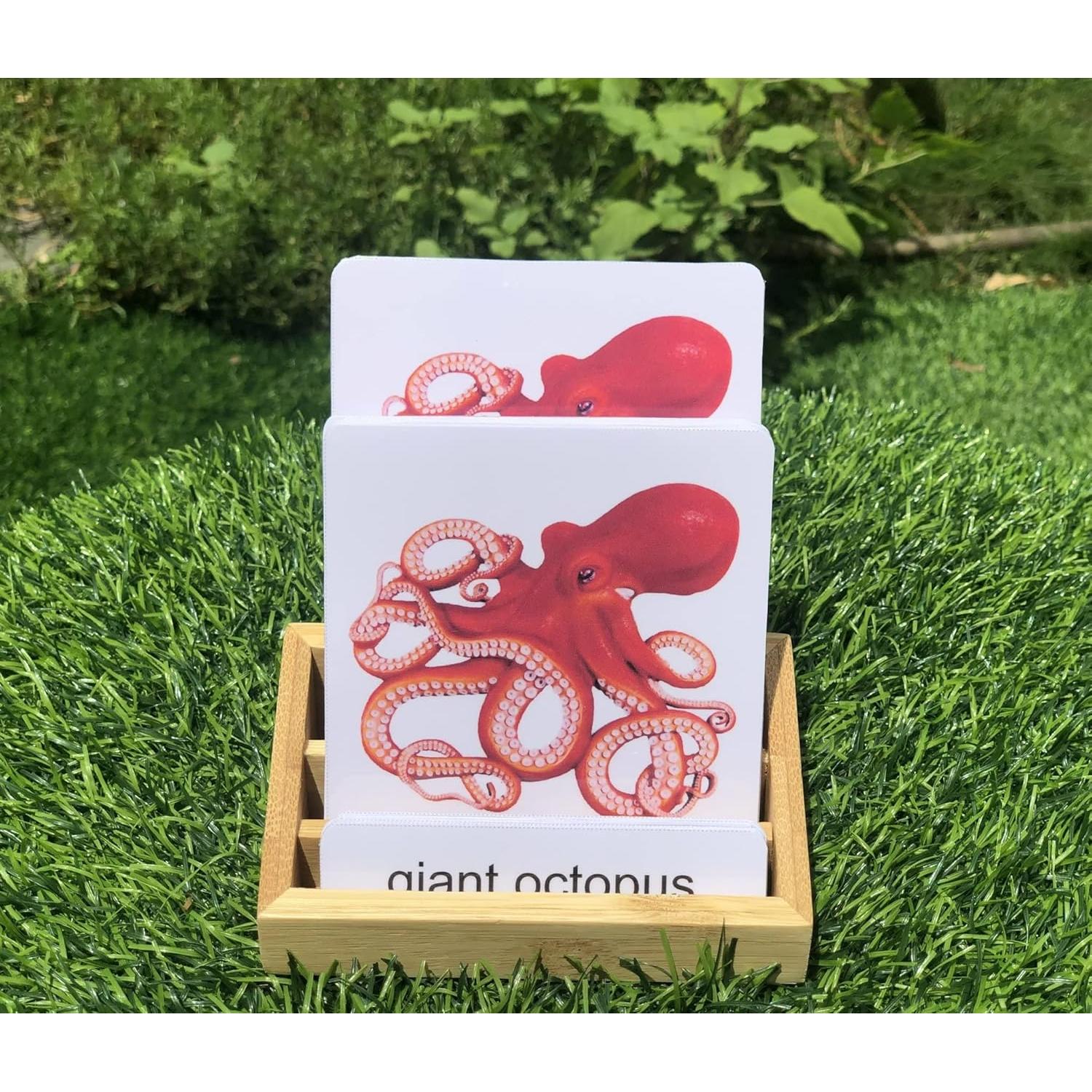 Bandeja de Tarjetas de Tres Partes KIHACO - Madera de Bambú