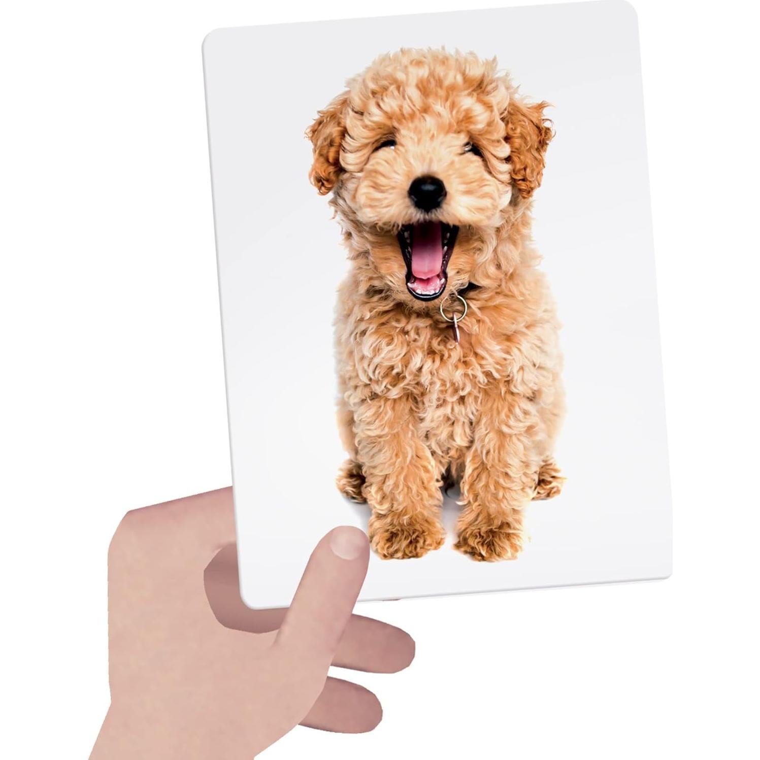 Tarjetas Táctiles Montessori Headu - Aprendizaje 1-4 Años