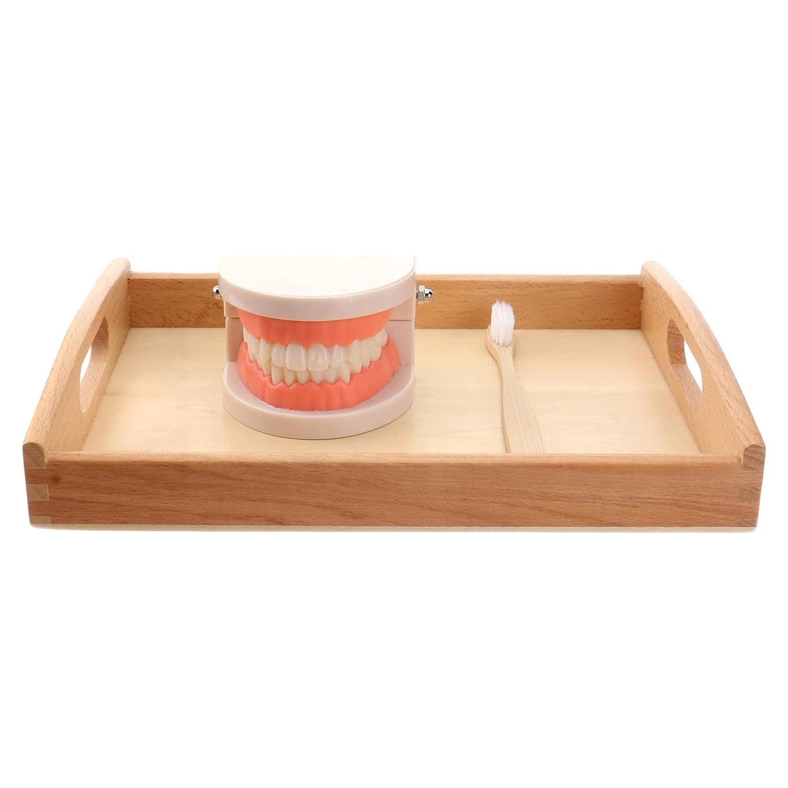 Set Montessori de Cepillado de Dientes STOBOK para Niños