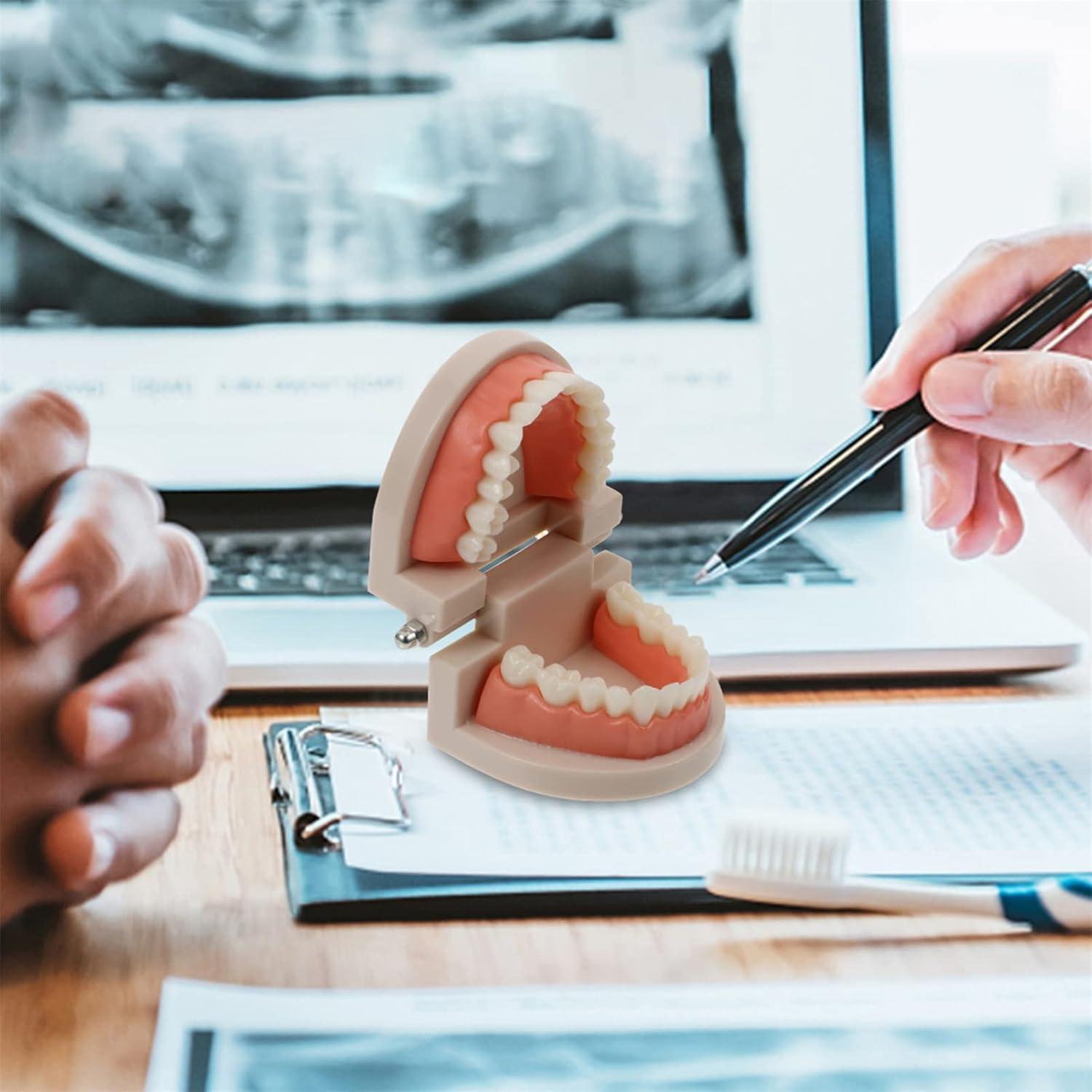 Set Montessori de Cepillado de Dientes STOBOK para Niños