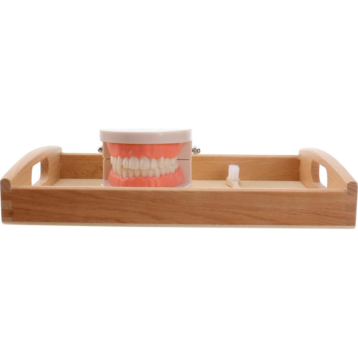 Set Montessori de Cepillado de Dientes STOBOK para Niños