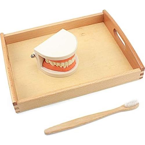 Juguete Educativo DANNI Montessori Cepillado de Dientes Madera