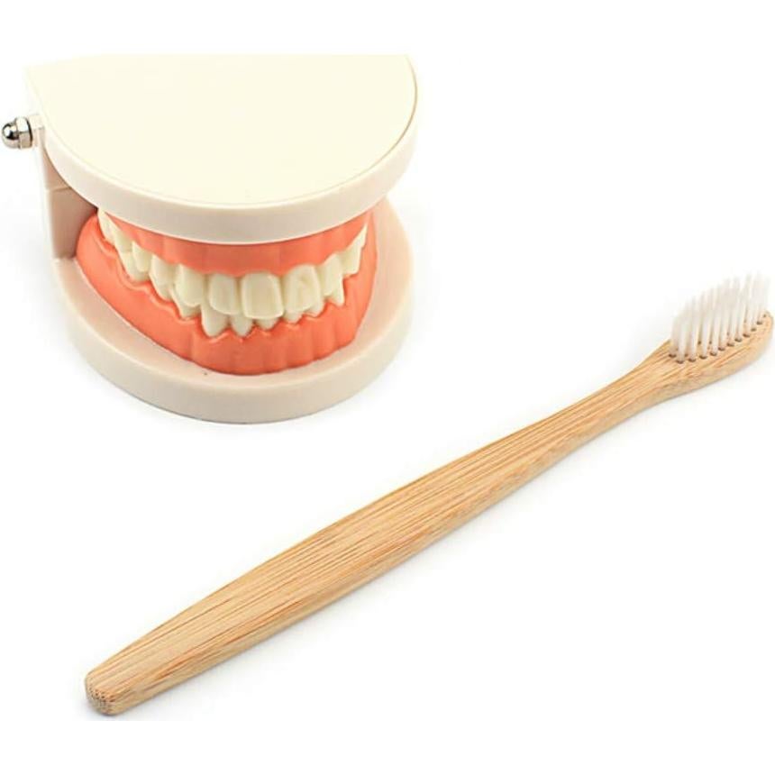 Juguete Educativo DANNI Montessori Cepillado de Dientes Madera