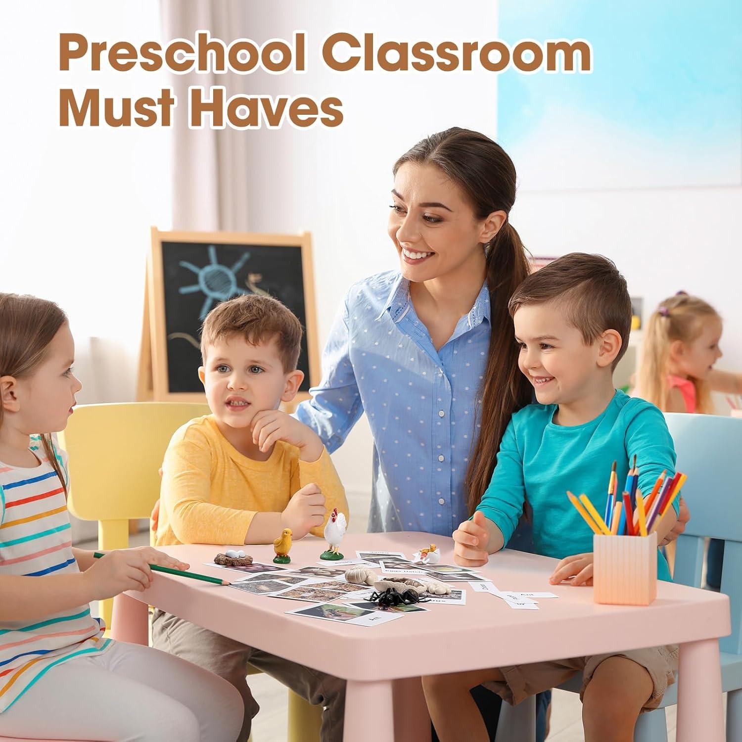 Juego Educativo Ciclo de Vida Pollo y Hormiga MEROCO