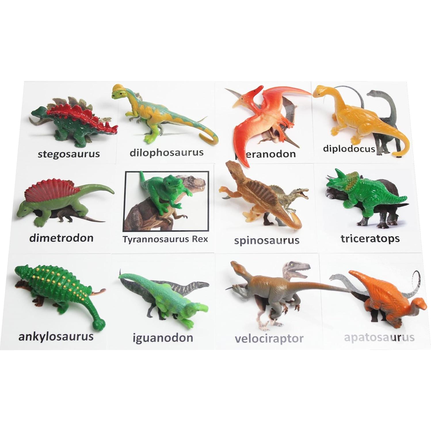 Juego de Emparejamiento Dinosaurios Montessori - 12 Figuras y Tarjetas