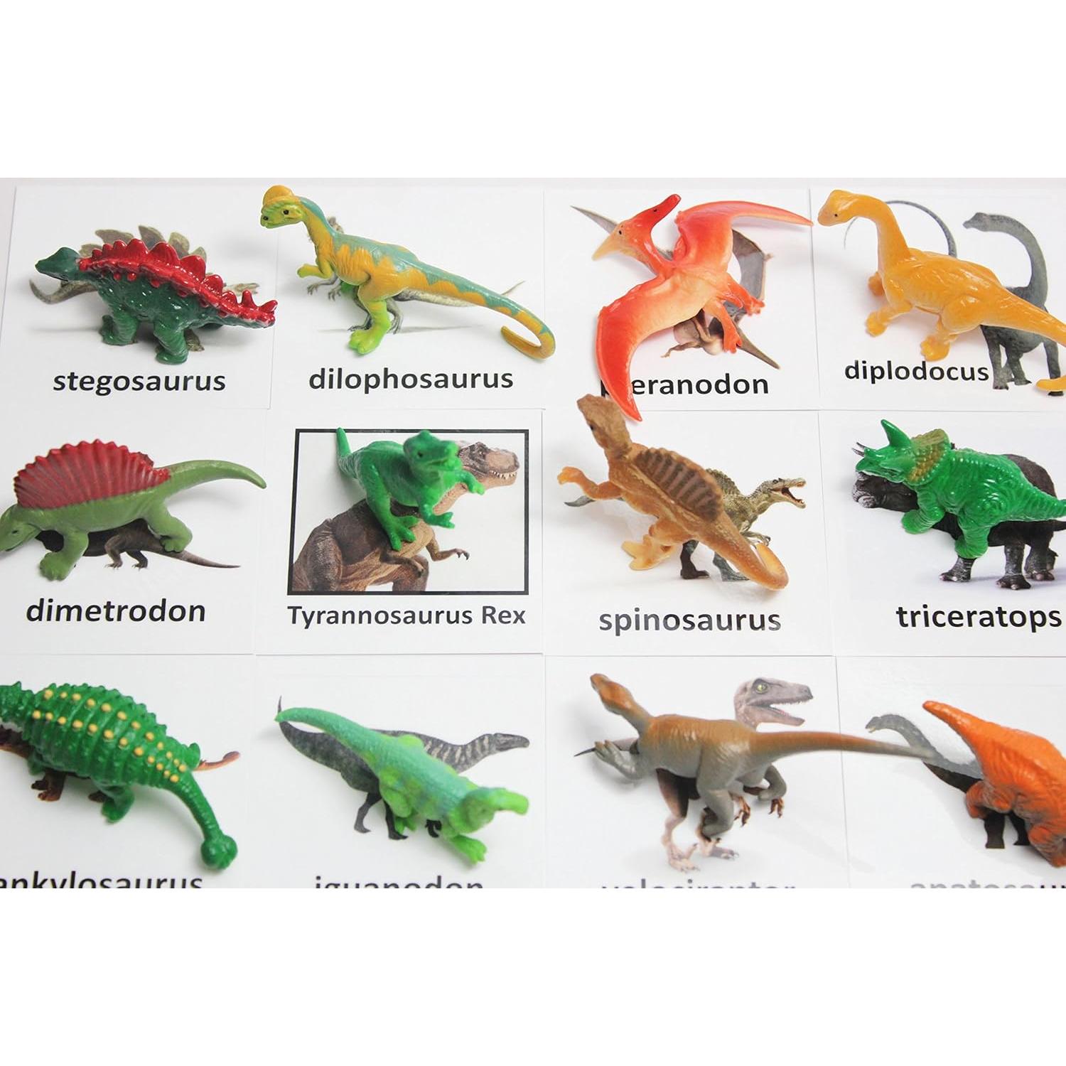 Juego de Emparejamiento Dinosaurios Montessori - 12 Figuras y Tarjetas