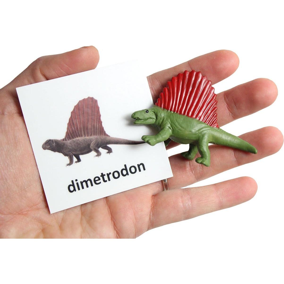 Juego de Emparejamiento Dinosaurios Montessori - 12 Figuras y Tarjetas