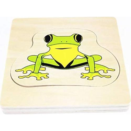 Ciclo de Vida de la Rana Montessori - Juguete Educativo de Madera