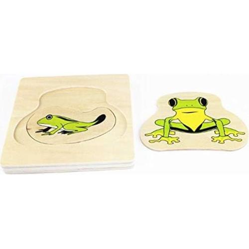 Ciclo de Vida de la Rana Montessori - Juguete Educativo de Madera